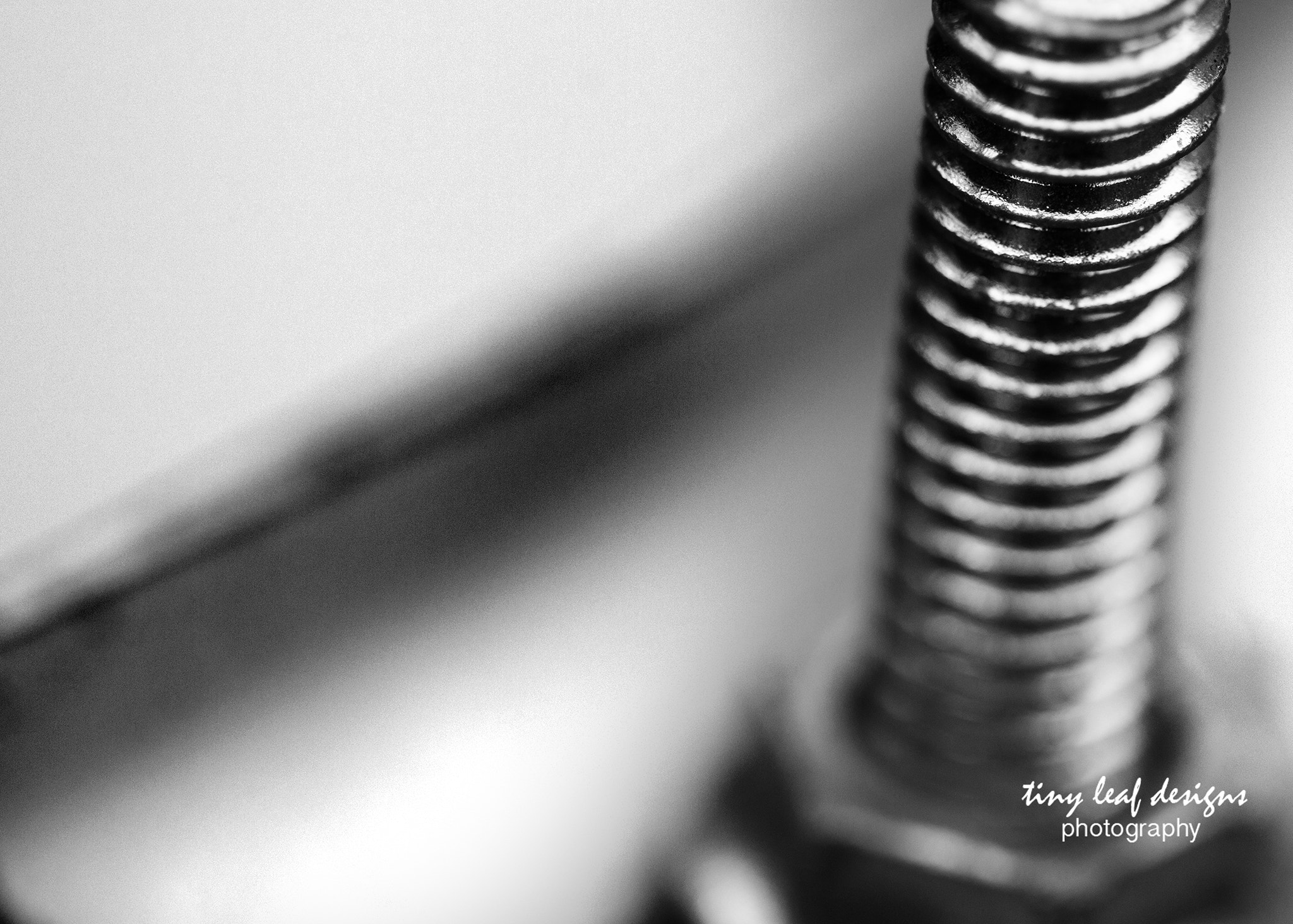Canon EOS 6D + Canon EF 100mm F2.8 Macro USM sample photo. Stripes photography