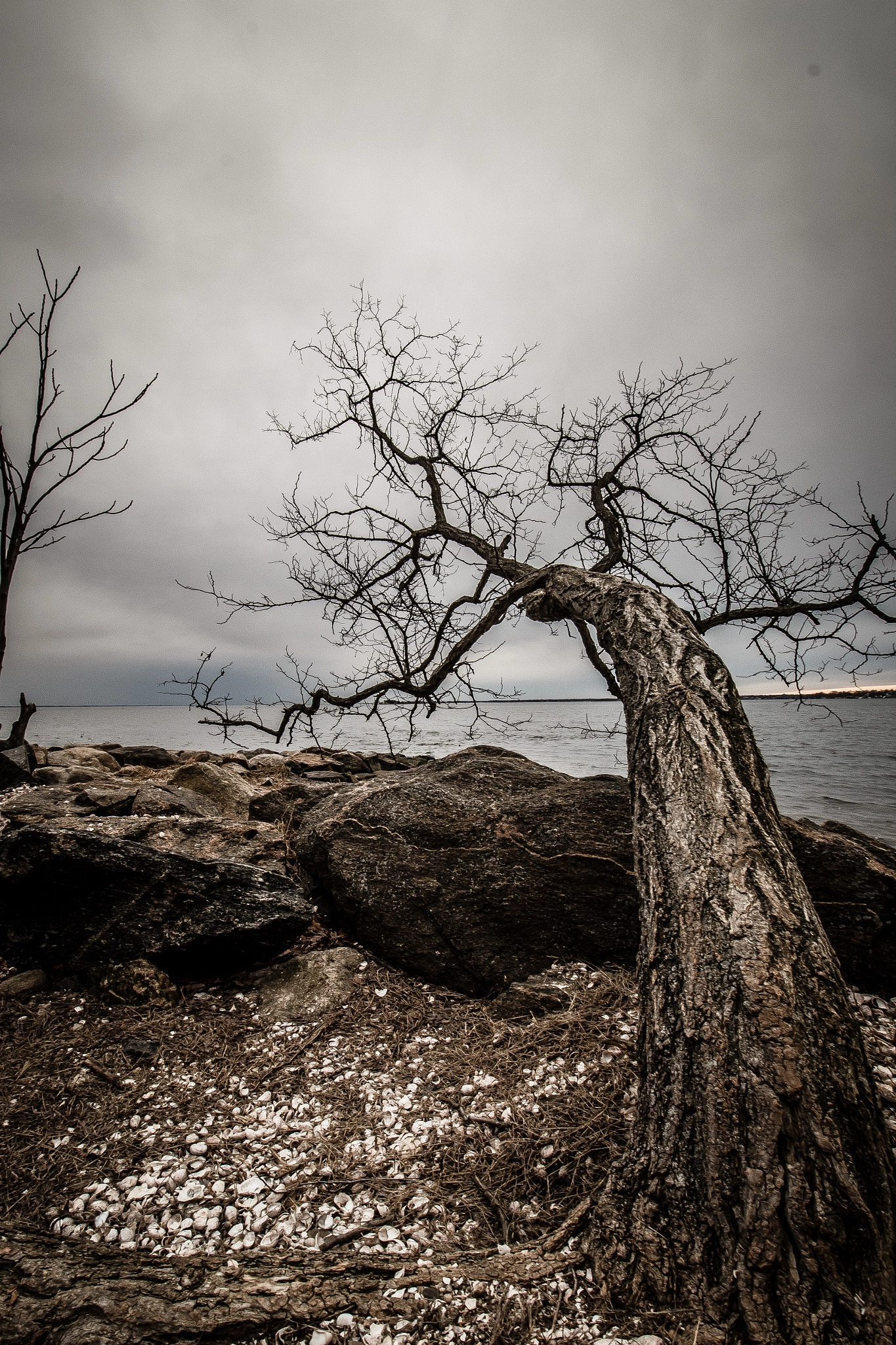 Canon EF-S 10-18mm F4.5–5.6 IS STM sample photo. Reach photography