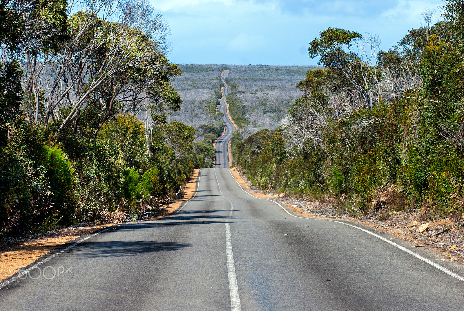 Nikon AF-Nikkor 80-200mm F2.8D ED sample photo. Australian' road photography