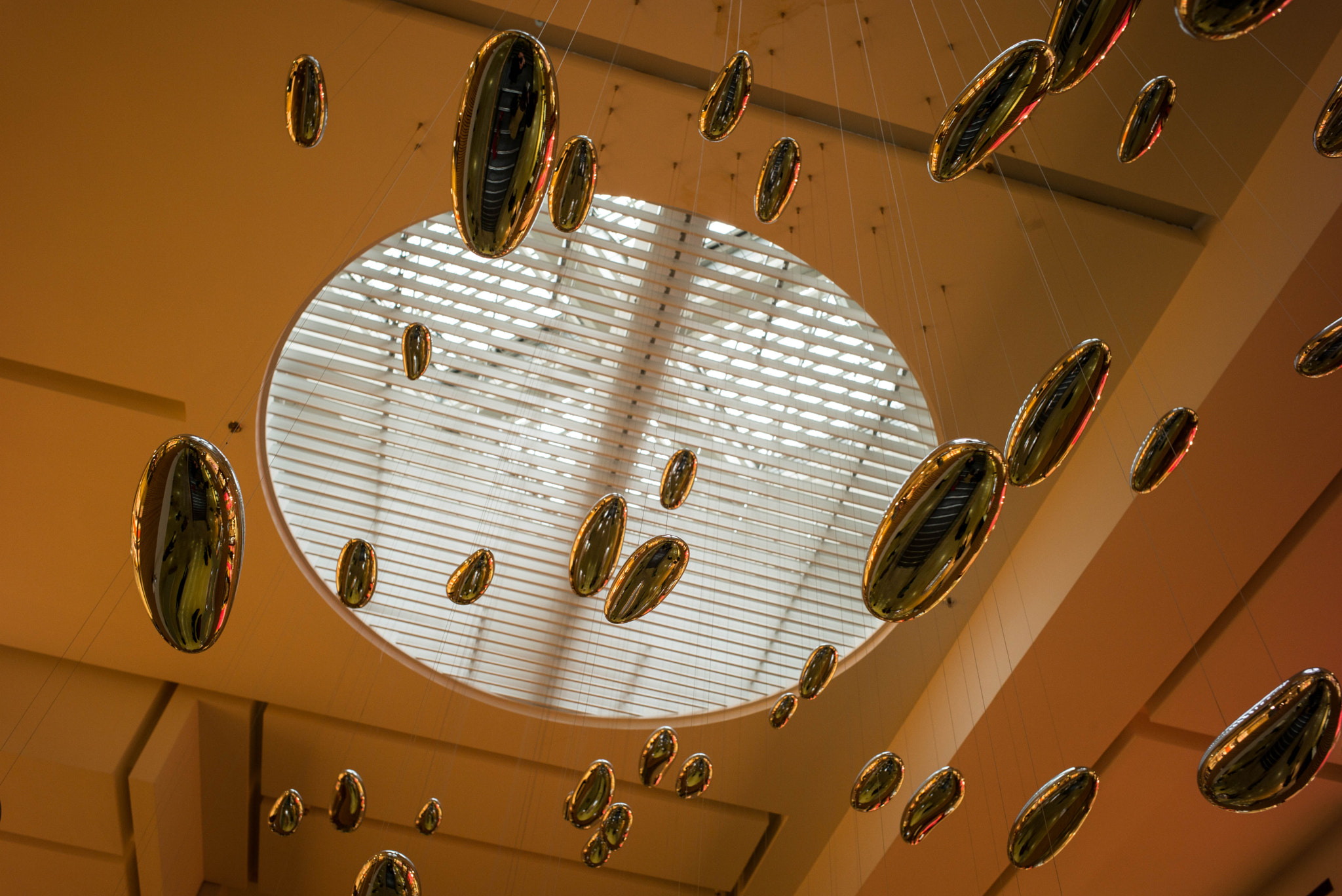Noctilux-M 1:1.2/50 sample photo. L1001596.jpg photography