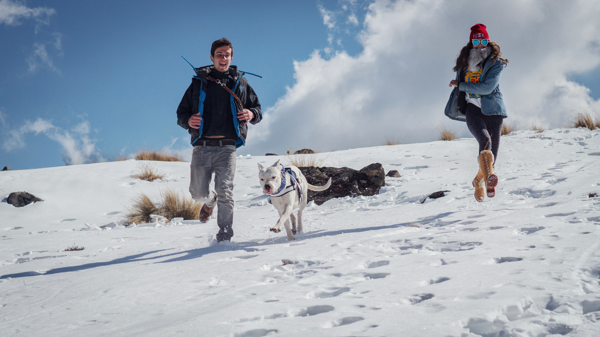 Sony ILCA-77M2 + Sony 50mm F1.4 sample photo. Wildstar photography