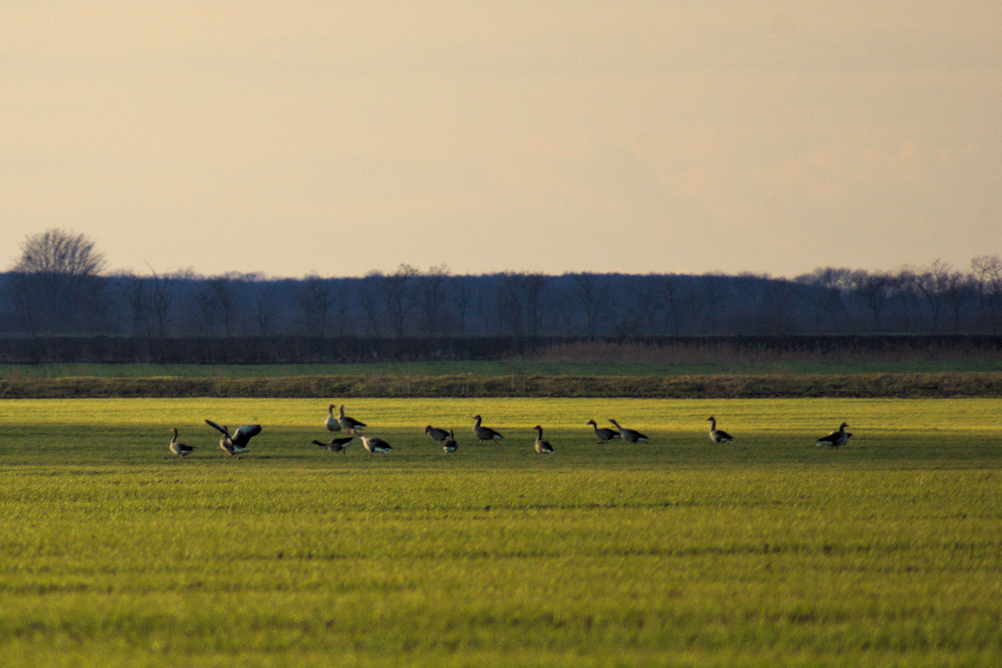 Pentax K10D sample photo. Spring is coming photography