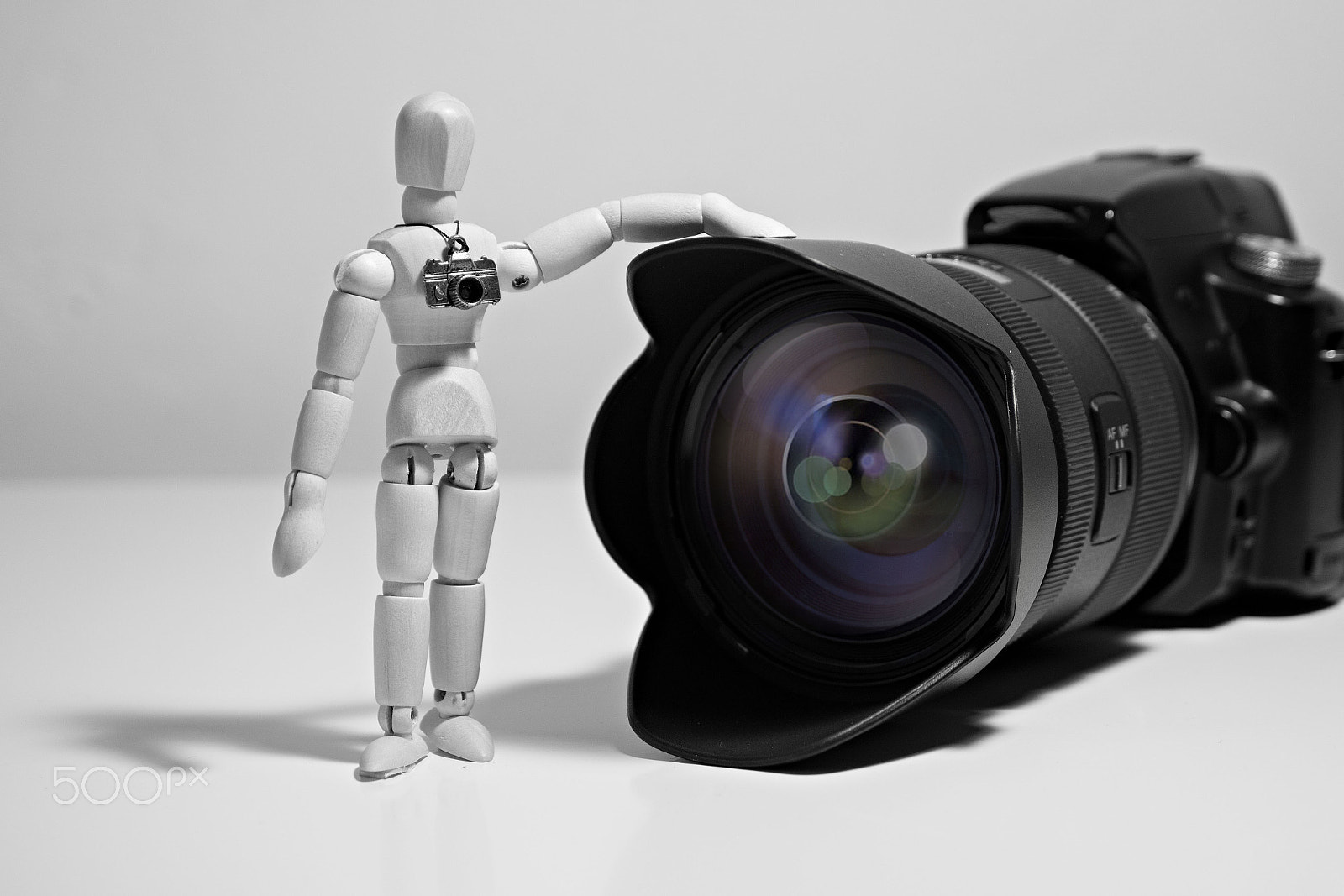 Sony DT 55-200mm F4-5.6 SAM sample photo. Nm161 photography