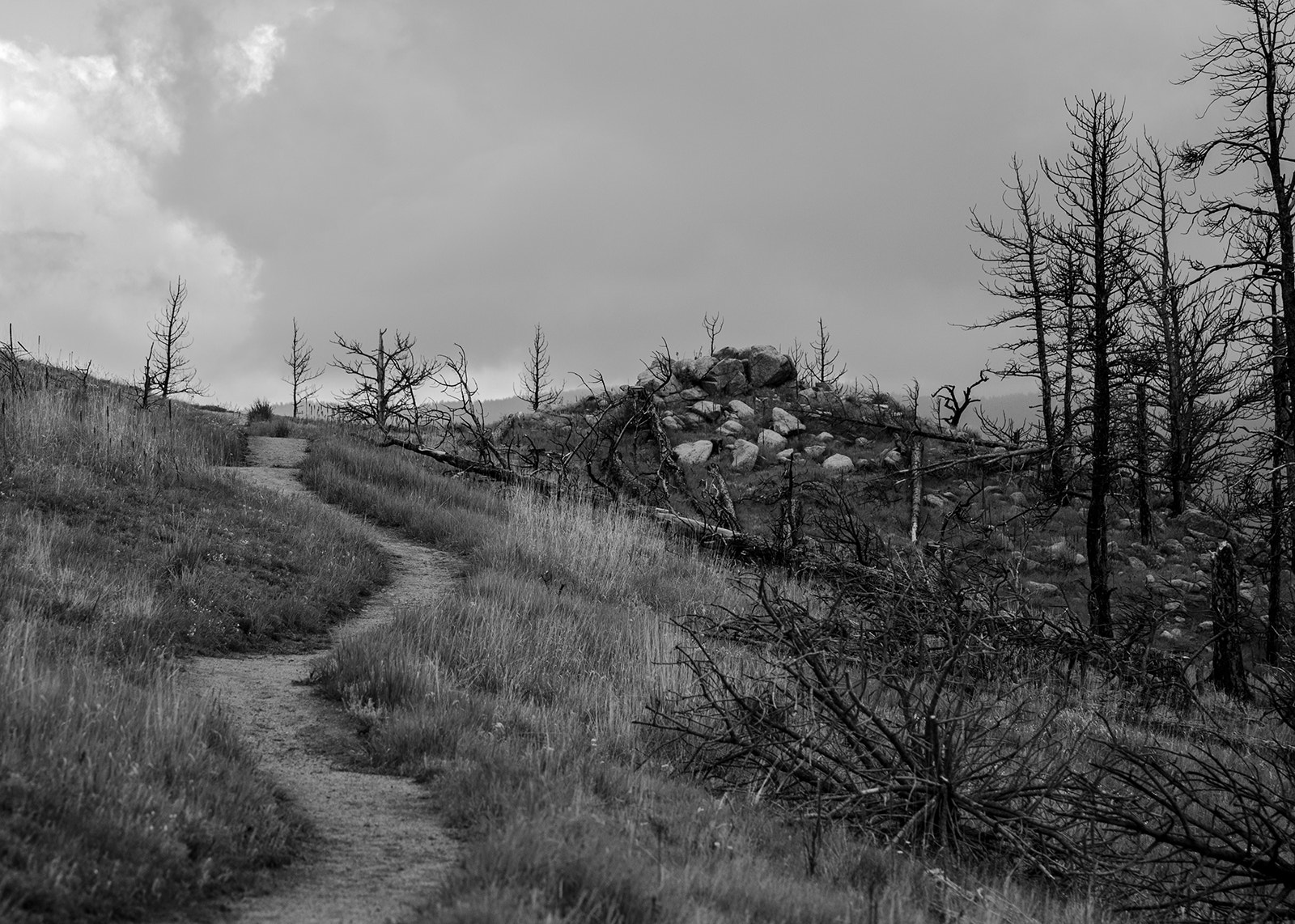 Canon EOS 500D (EOS Rebel T1i / EOS Kiss X3) sample photo. Bald mountain trail photography