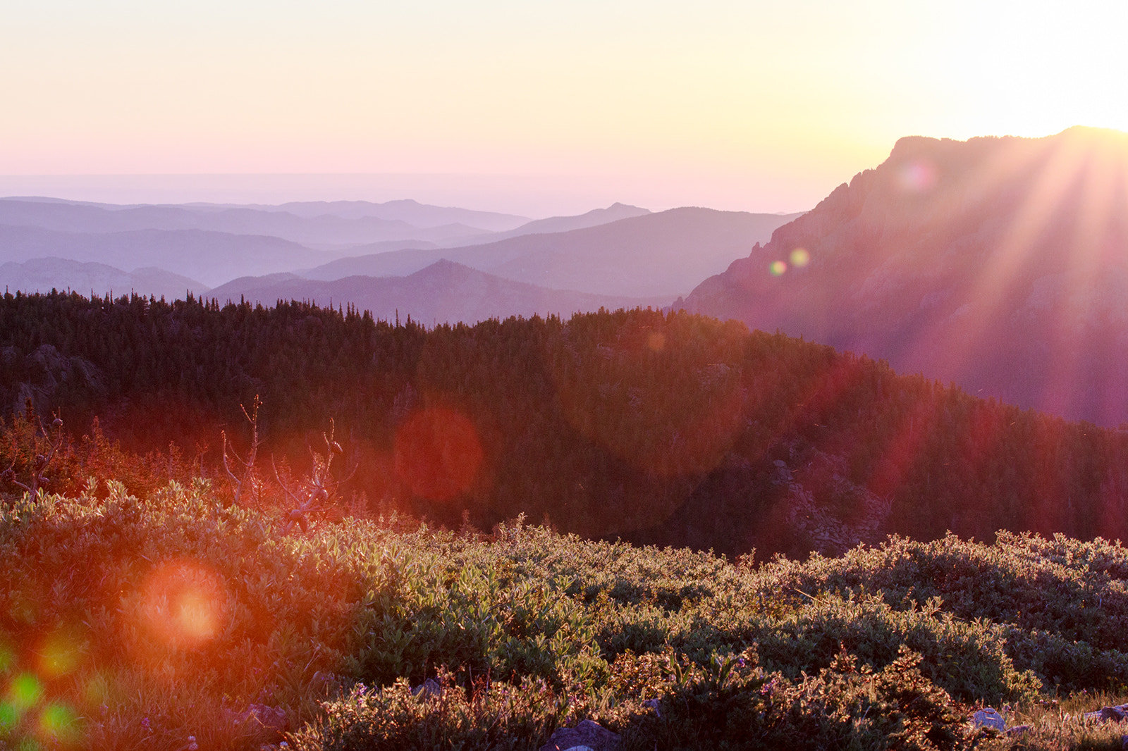 Canon EOS 500D (EOS Rebel T1i / EOS Kiss X3) sample photo. Sunrise on long's peak photography