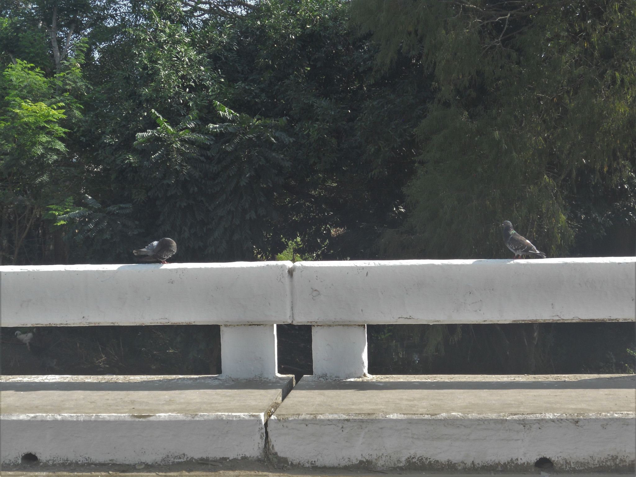 Nikon Coolpix S4000 sample photo. Meeting photography