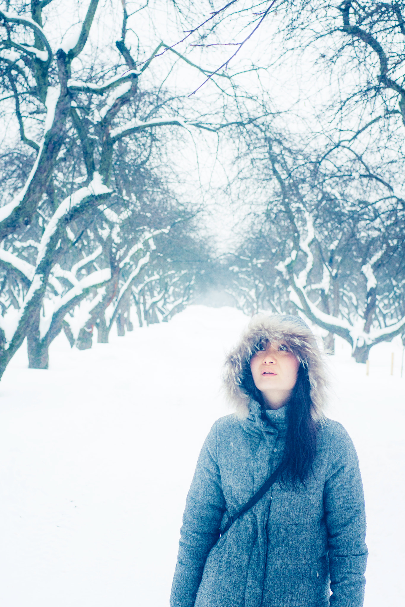 Sony Alpha DSLR-A500 + Sony 50mm F1.4 sample photo. Winter wonders photography