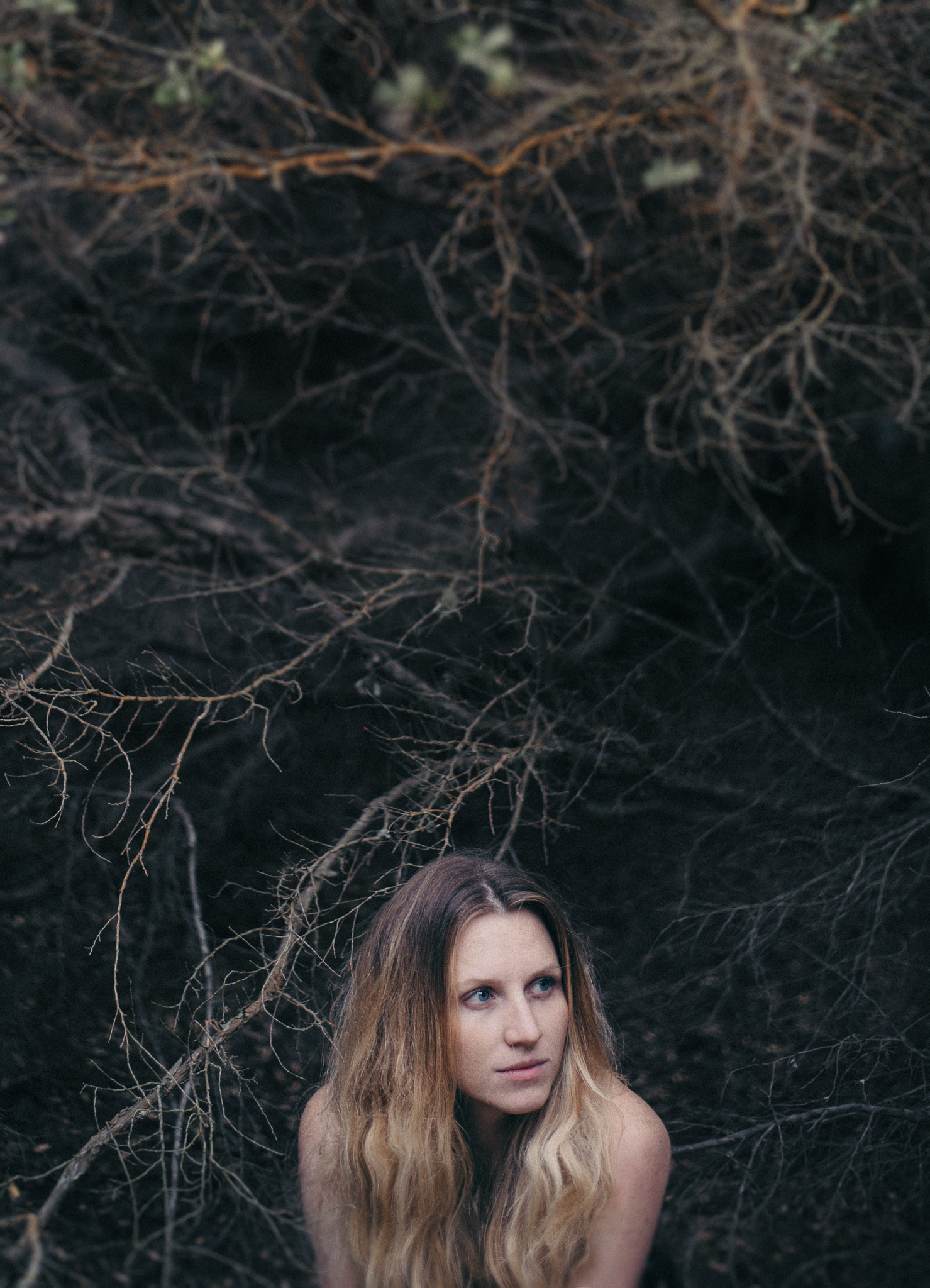 v2?sig=910dda2a49e46aac887a838d927a657d3c57d8f829361256ae717fb4f20ec366