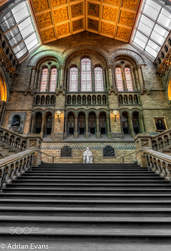 Natural History Museum