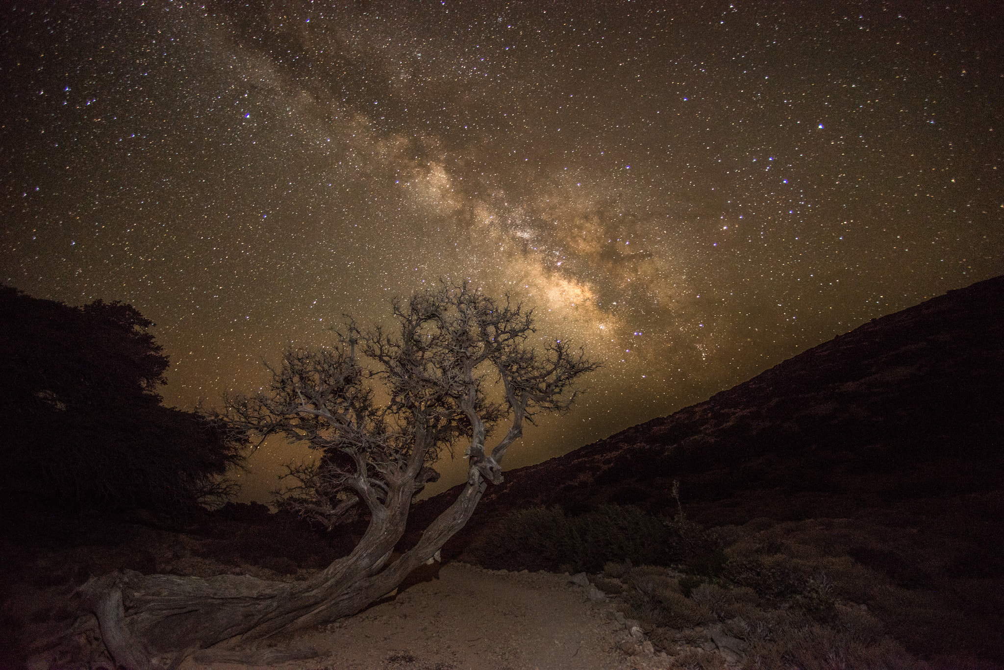 Nikon D800 + Nikon AF Nikkor 14mm F2.8D ED sample photo. Lonely way photography