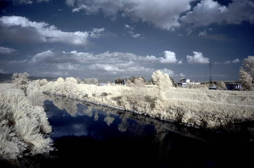 Nikon D70 sample photo. L'arno d'argento photography
