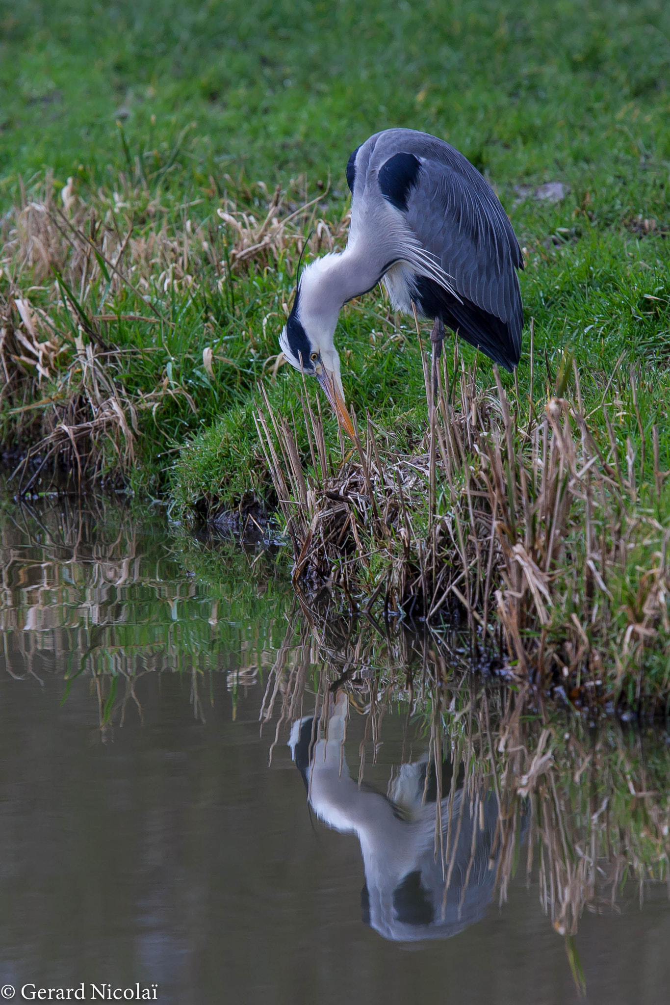 Canon EF 300mm F2.8L IS USM sample photo. Is that me.. photography