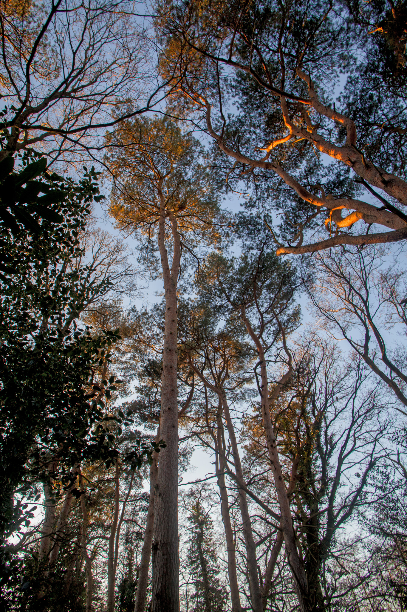 Canon EF 20-35mm F3.5-4.5 USM sample photo. Evening sun. photography