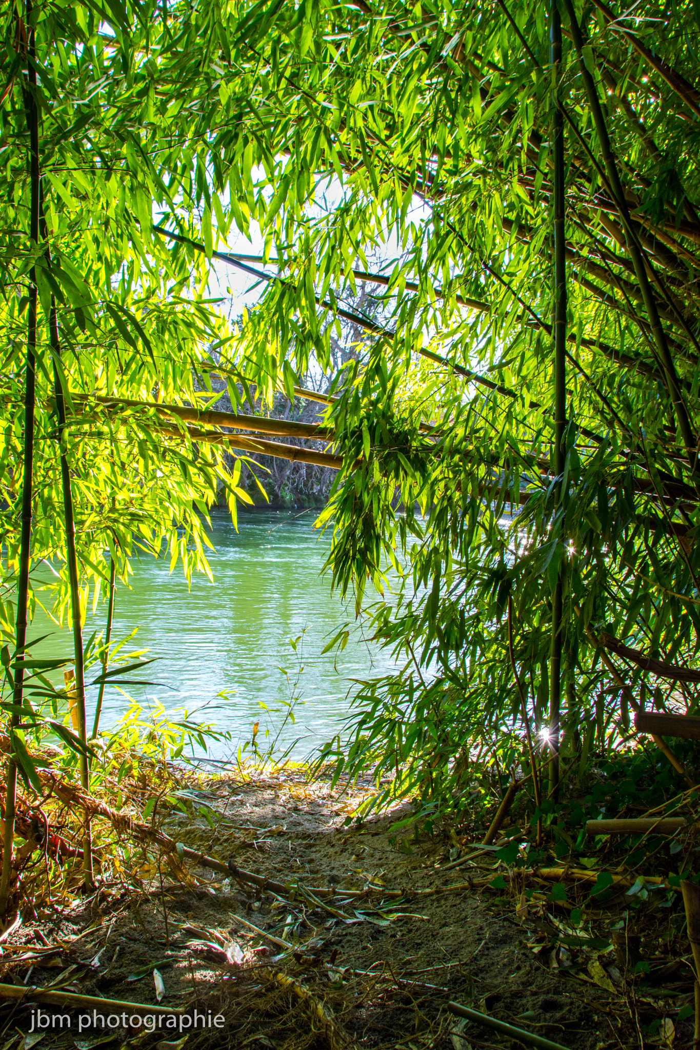 Sigma 18-200mm F3.5-6.3 II DC OS HSM sample photo. Bambou photography