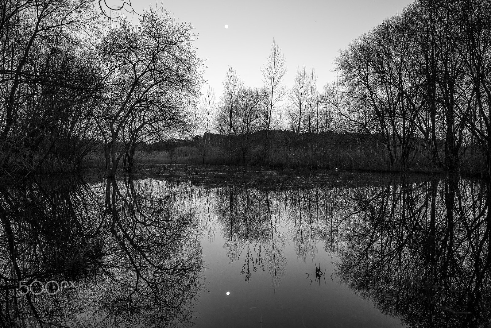 Elmarit-M 1:2.8/24 ASPH. sample photo. Moon over pateira de fermentelos photography