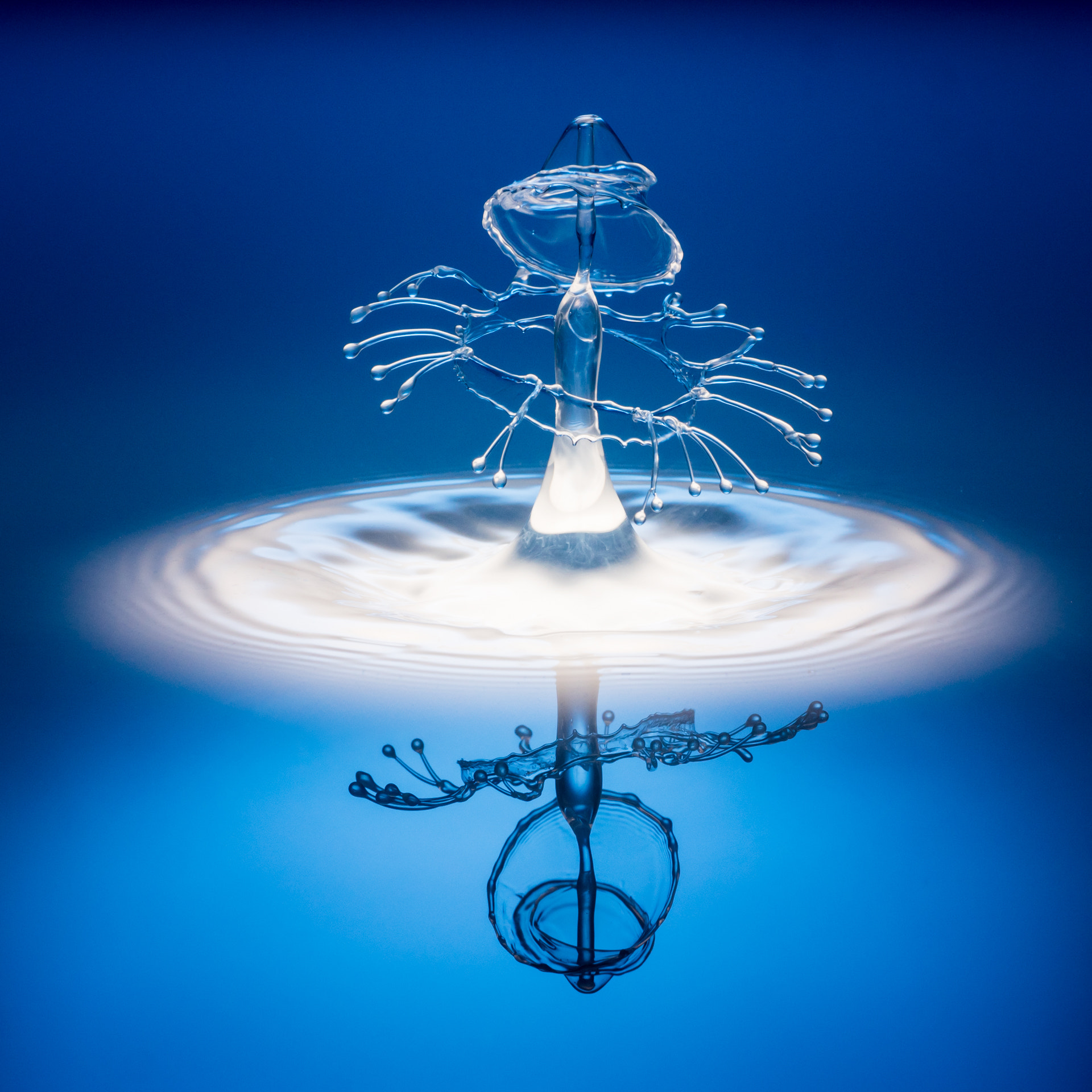 Panasonic Leica DG Macro-Elmarit 45mm F2.8 ASPH OIS sample photo. Dancing drop photography