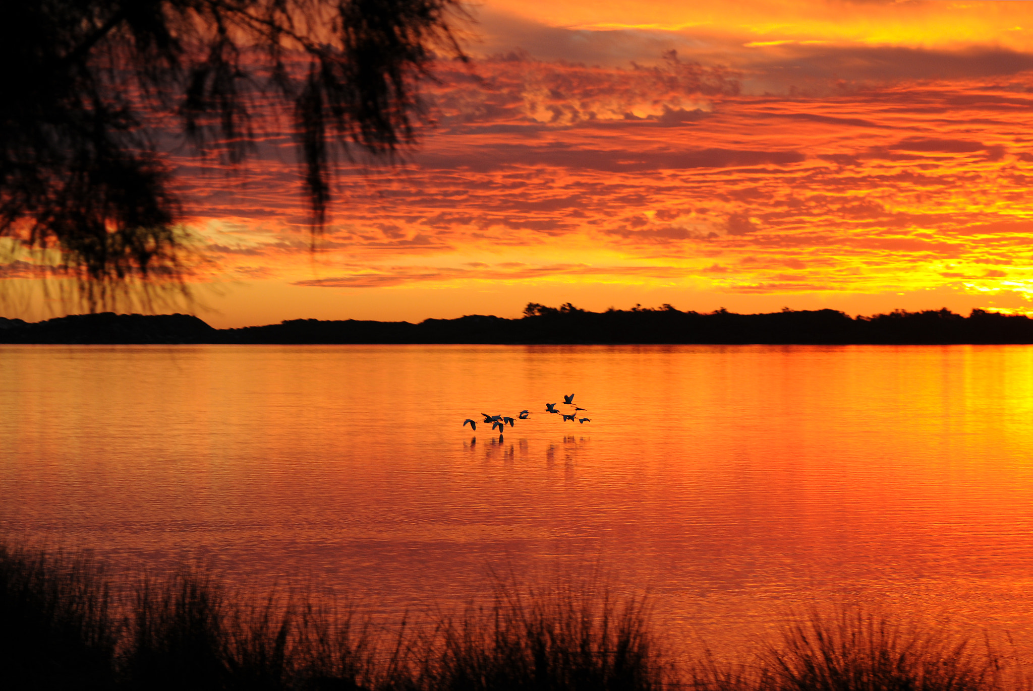 Nikon AF Nikkor 24-85mm F2.8-4D IF sample photo. Red sky photography