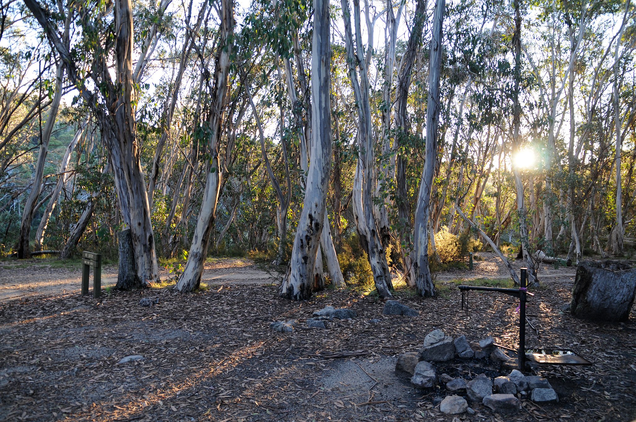 Nikon D300S + Sigma 17-70mm F2.8-4.5 DC Macro Asp. IF sample photo. National park campsite in the victorian alps photography