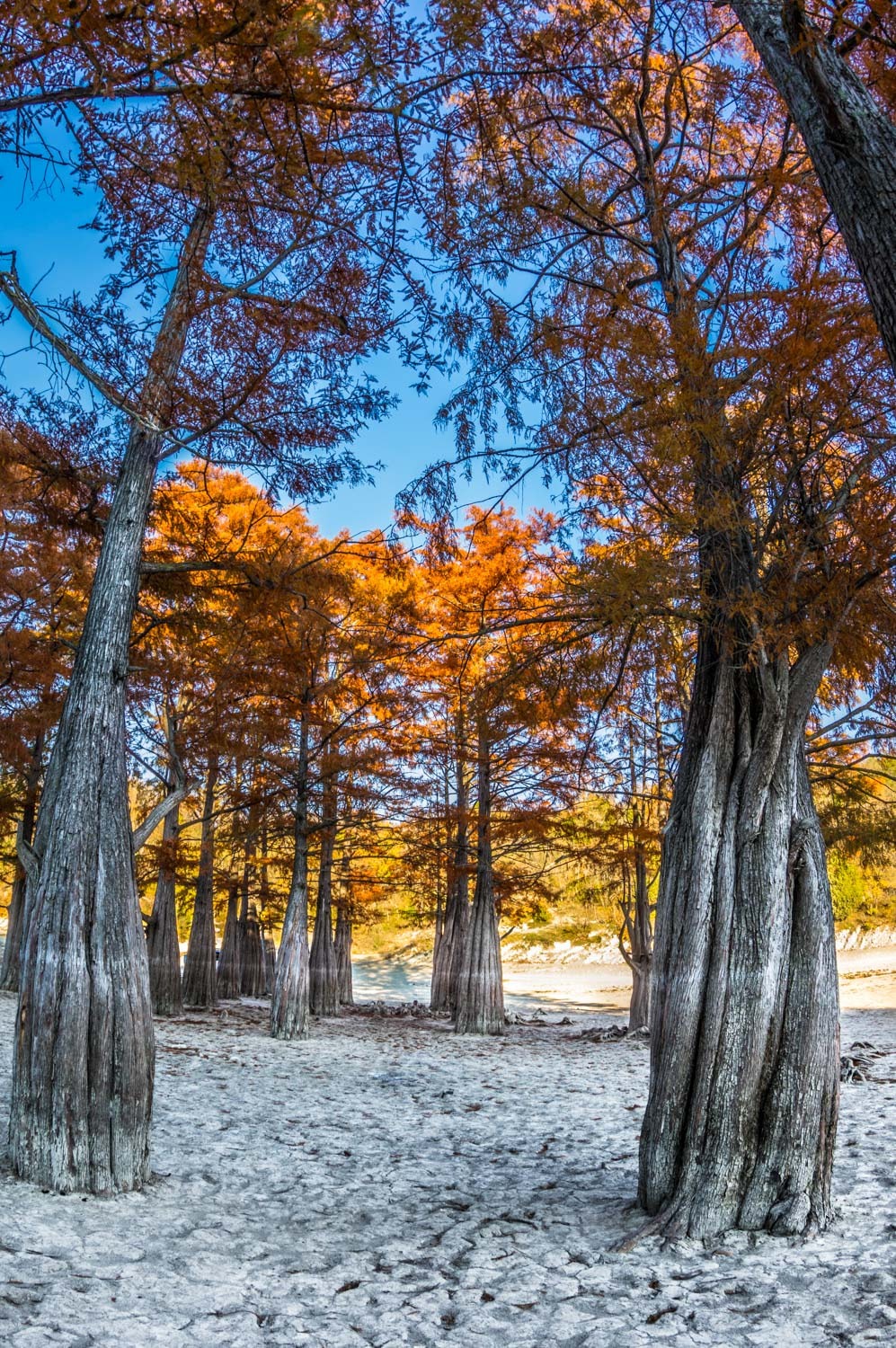 Pentax K-3 sample photo. Afra0798-2.jpg photography