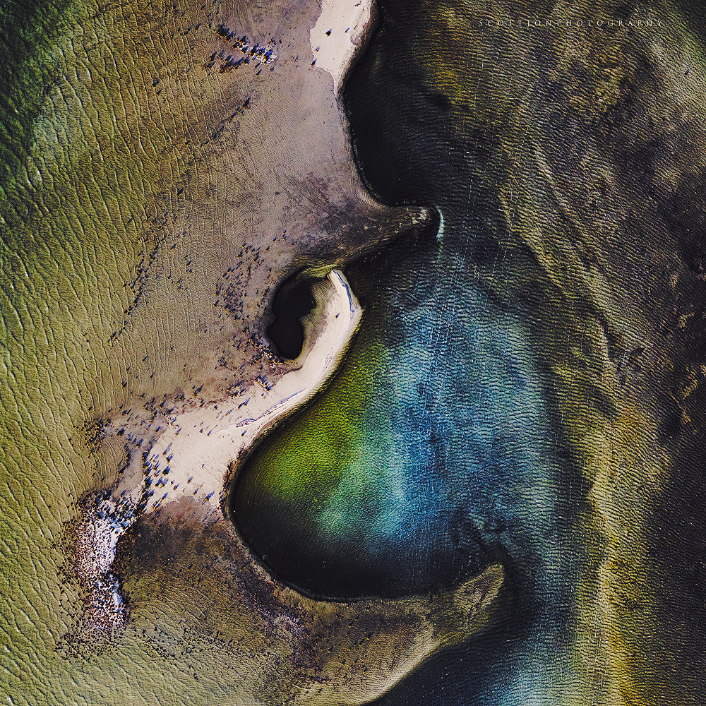 Phase One IQ150 + Schneider LS 80mm f/2.8 sample photo. Pregnant earth photography