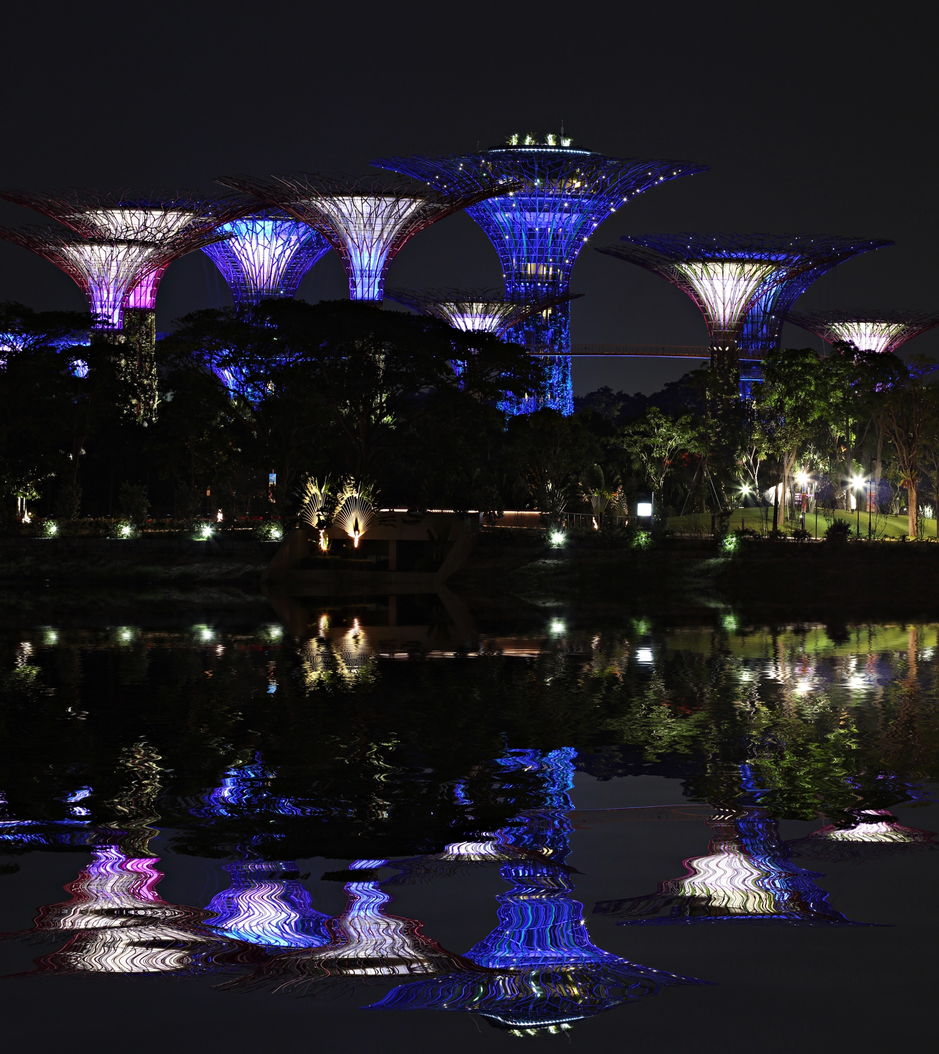 Canon EF 70-200mm F2.8L IS II USM sample photo. Gardens by the bay photography