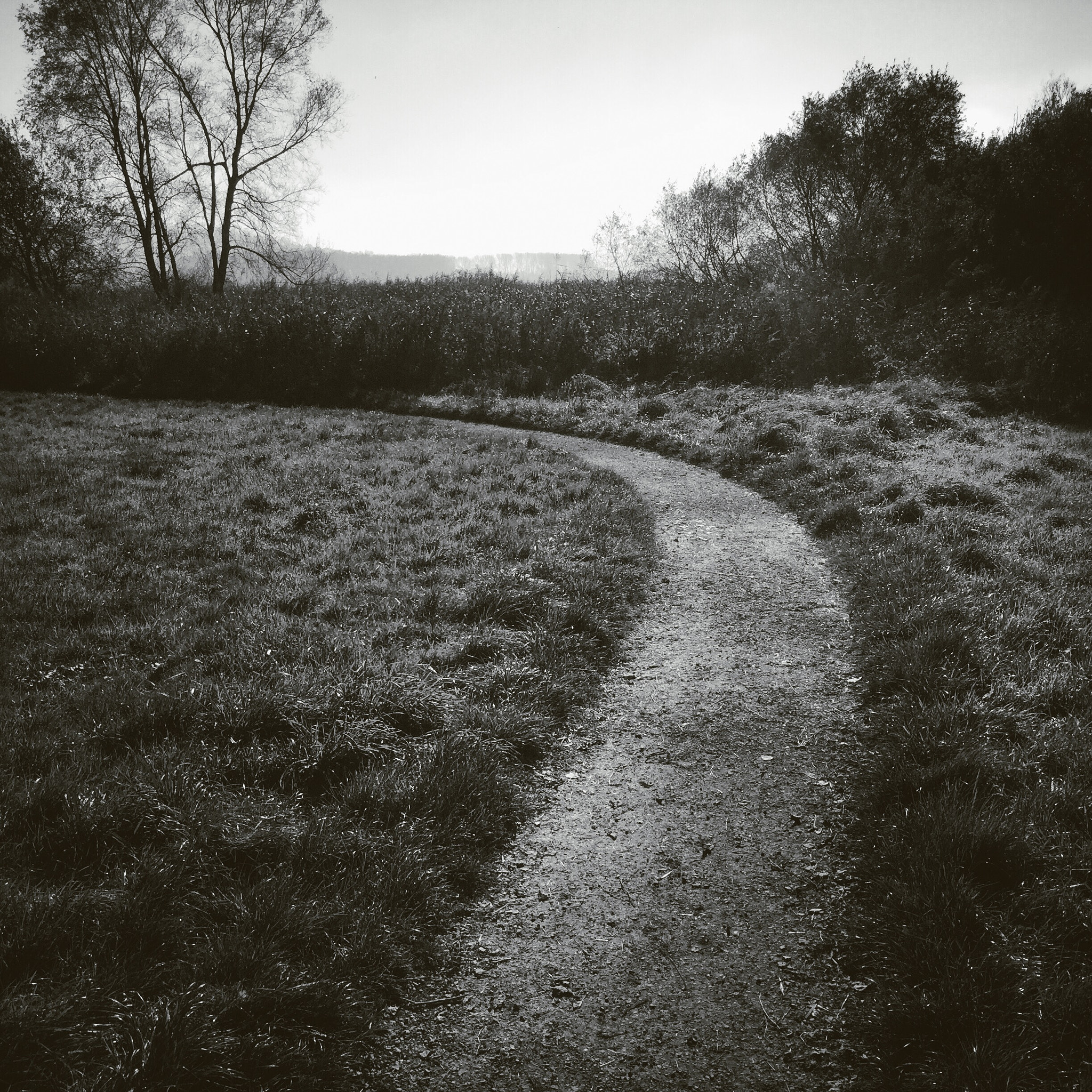 Hipstamatic 302 sample photo. Untitled photography