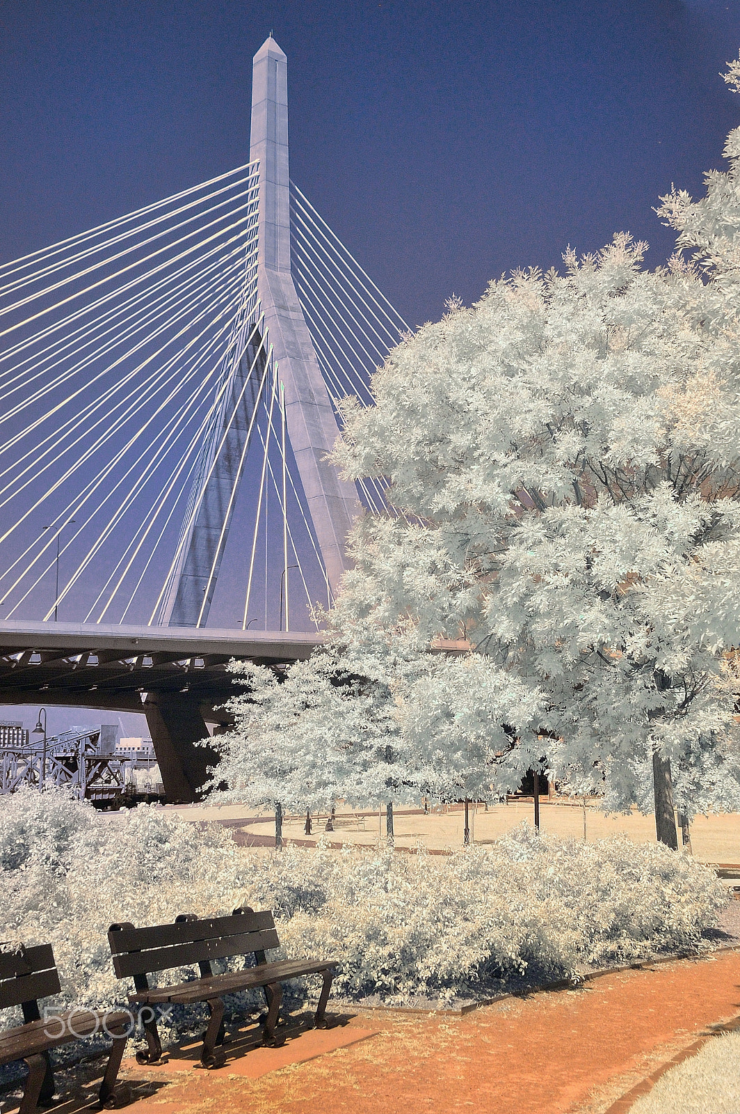 Nikon D70s sample photo. Zakim bridge, ir photography