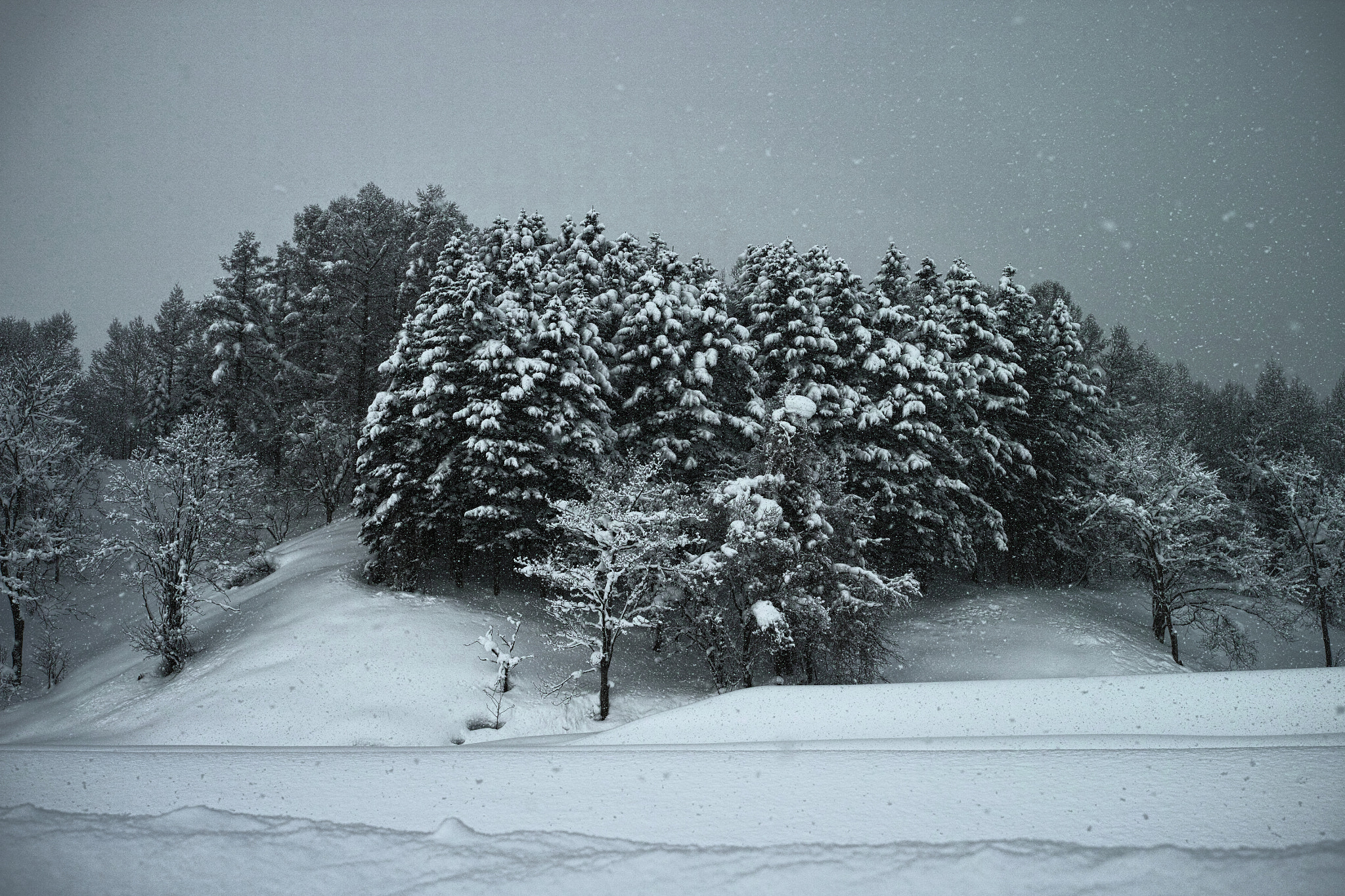 Sigma 30mm F2.8 sample photo. Snow falls morning photography