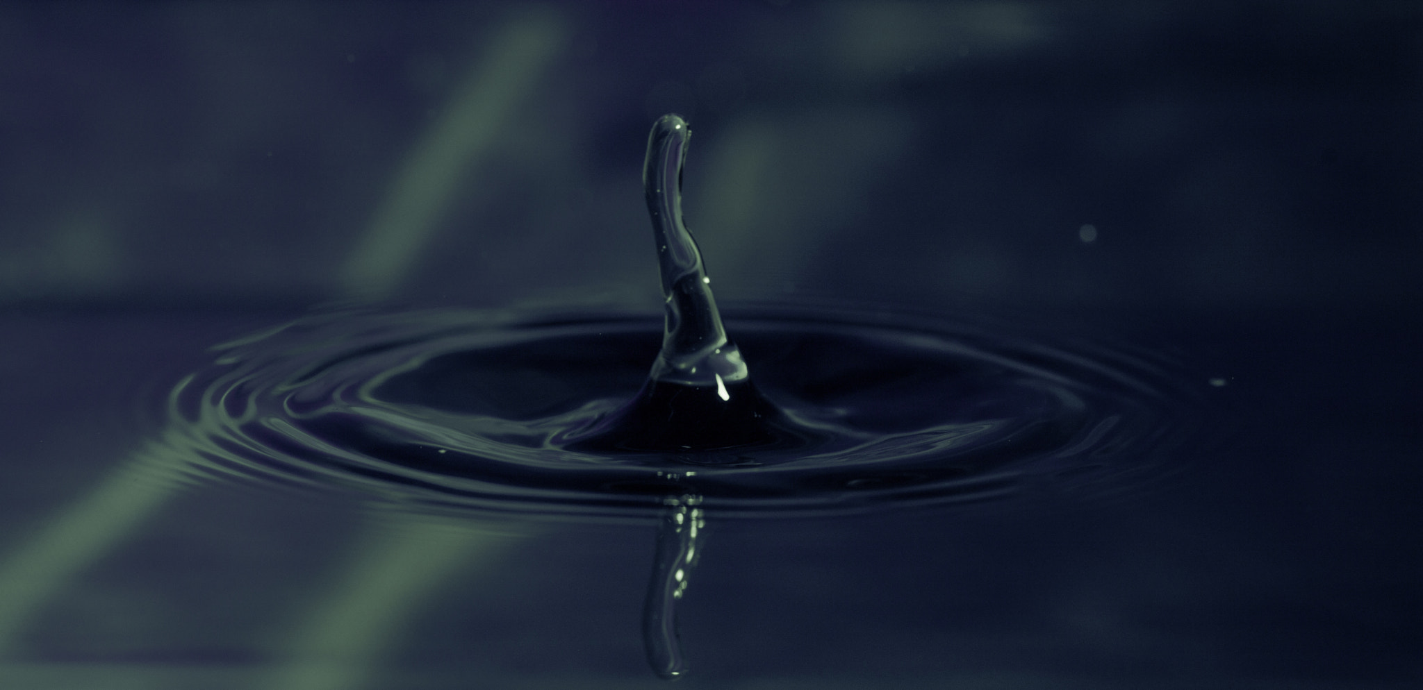 Sigma APO Macro 150mm f/2.8 EX DG HSM sample photo. Droplets photography