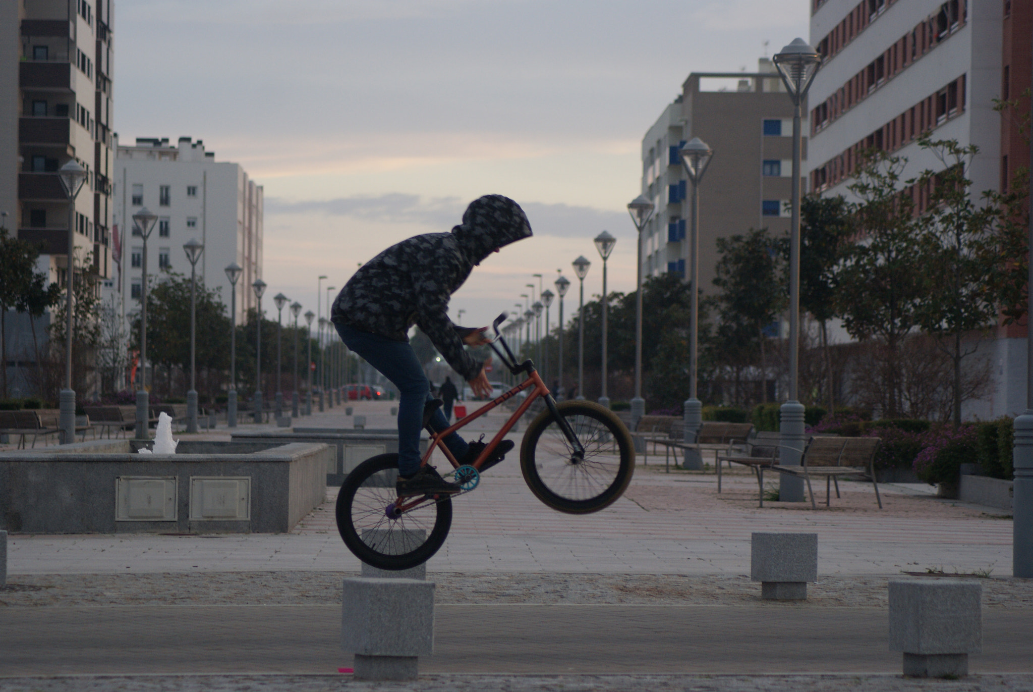 Sony Alpha DSLR-A230 sample photo