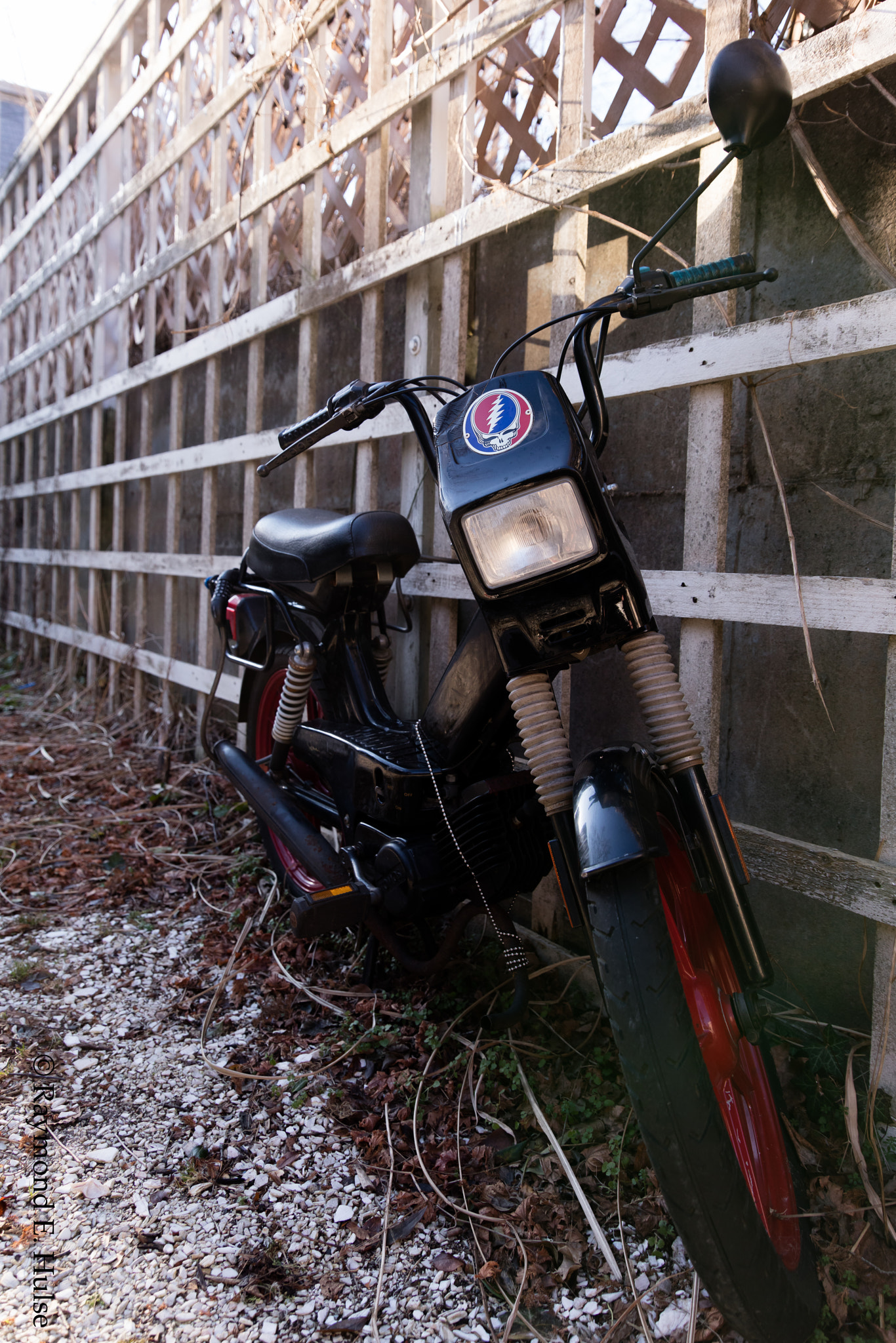 Sigma 24-105mm f/4 DG OS HSM | A sample photo. Dead ride photography