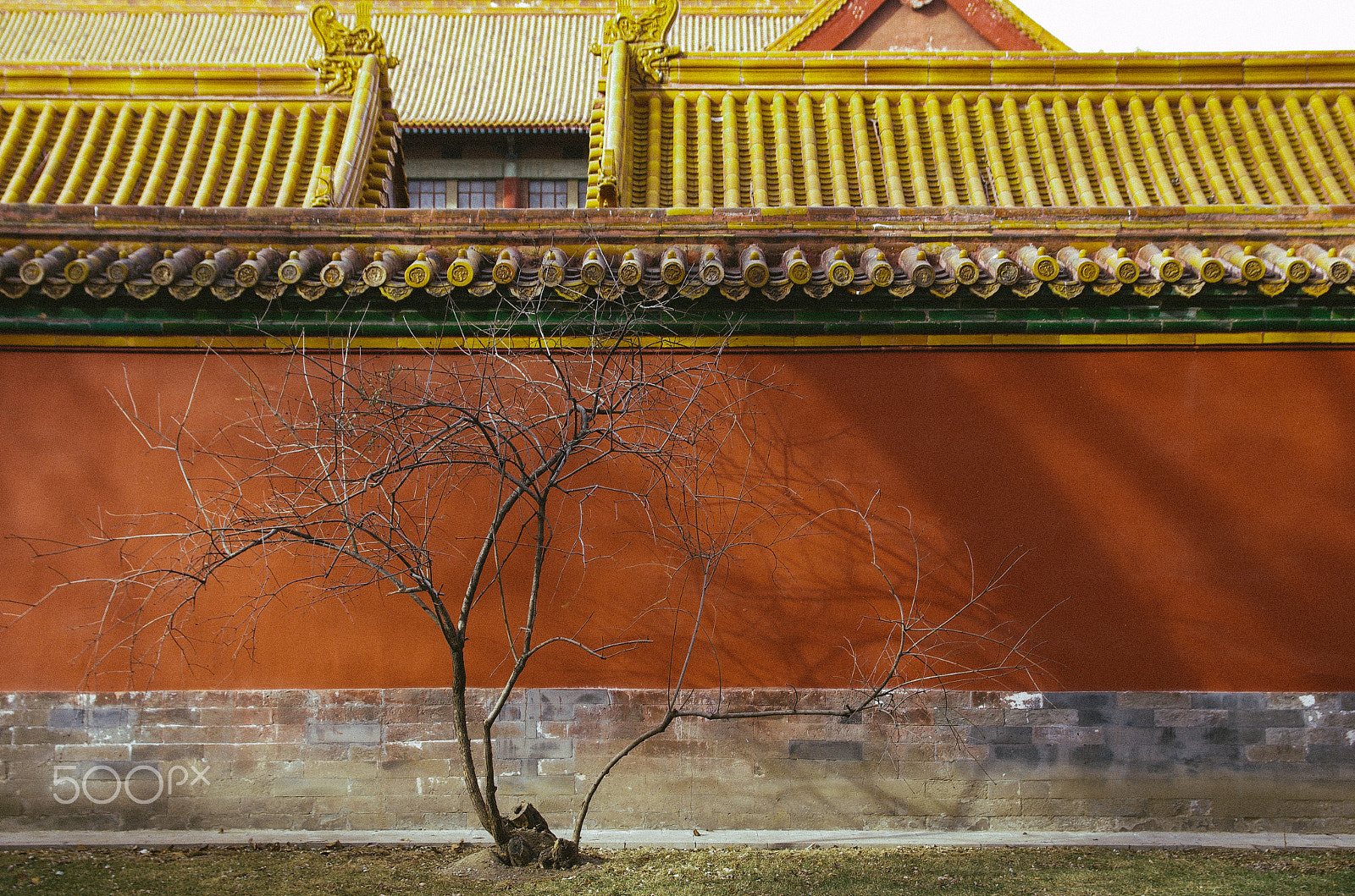 Sigma 17-50mm F2.8 EX DC HSM sample photo. Forbidden city photography