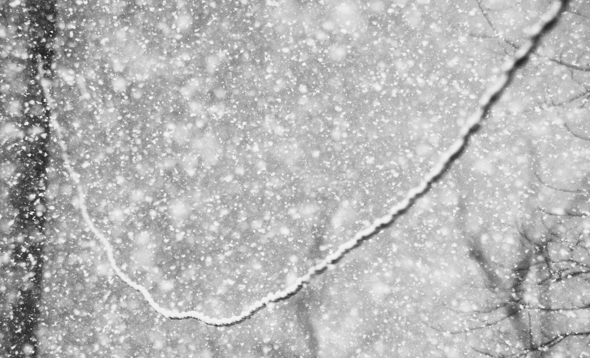 Pentax smc DA 55-300mm F4.0-5.8 ED sample photo. Power line in heavy snowfall photography
