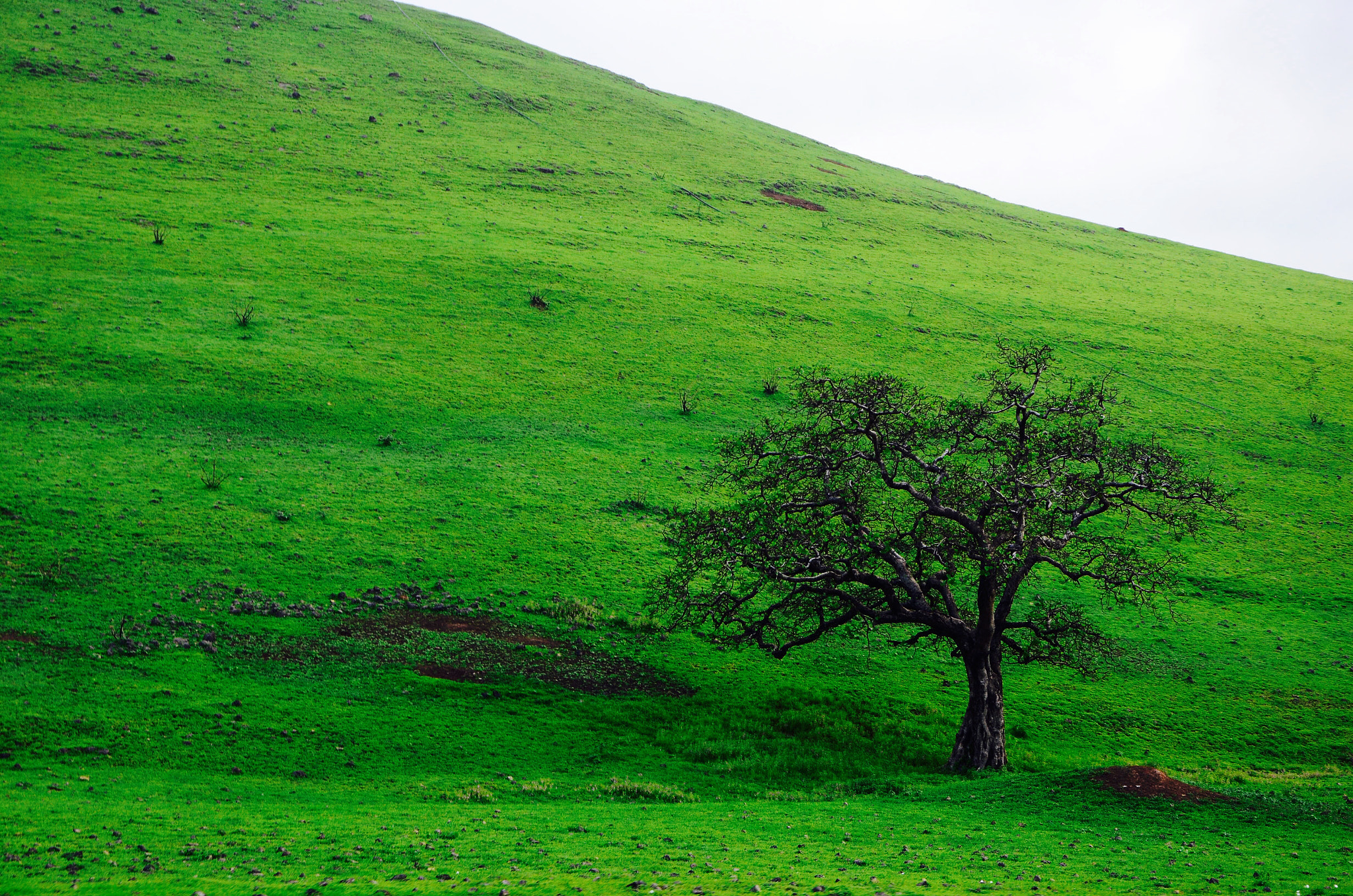 v2?sig=f9d1edc98c7d3a1d102dd4cf1316ff09941fe10f271b783d96c7ea8ee0fe6cd2