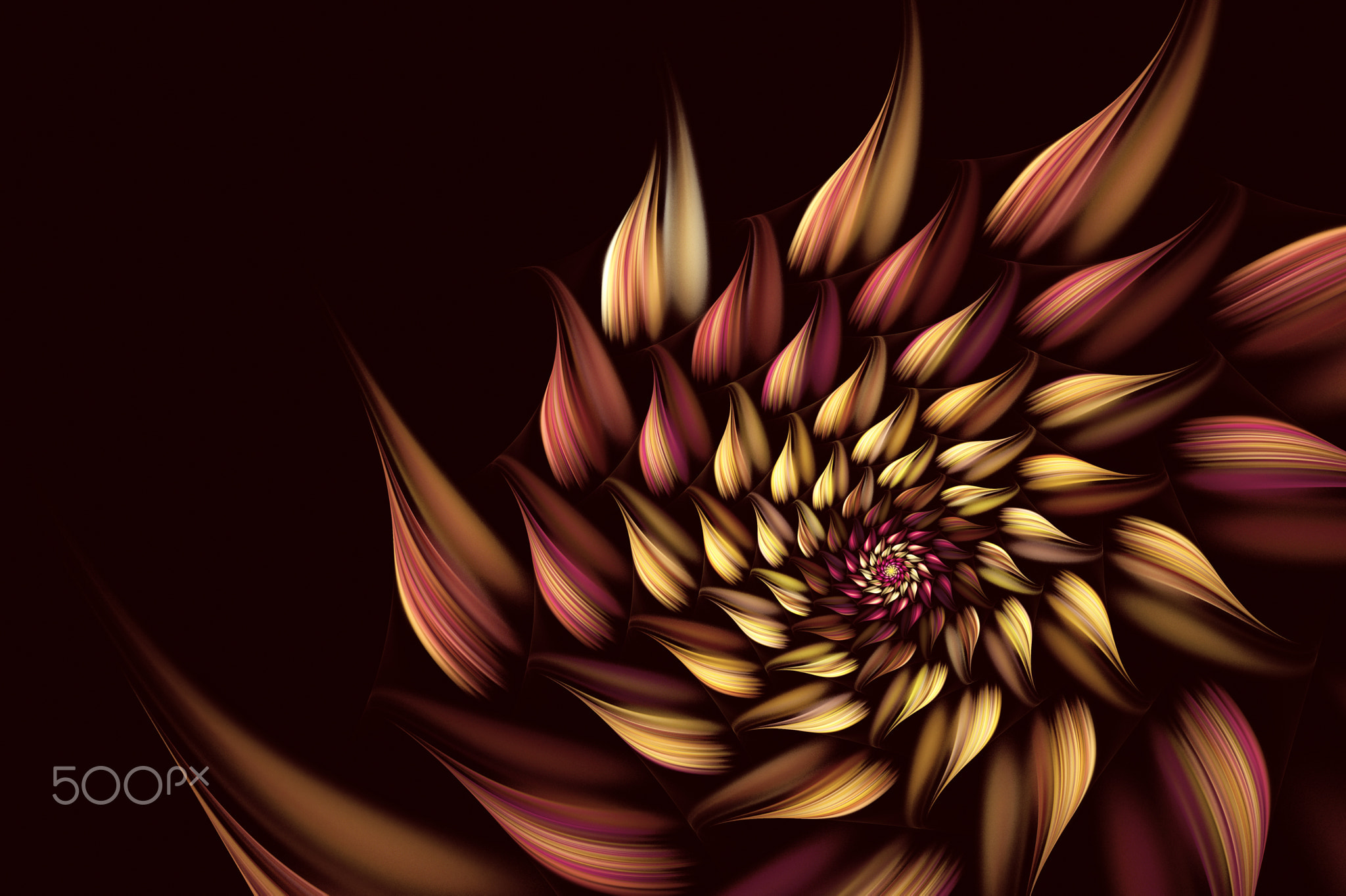 abstract fractal background, spiral, flower