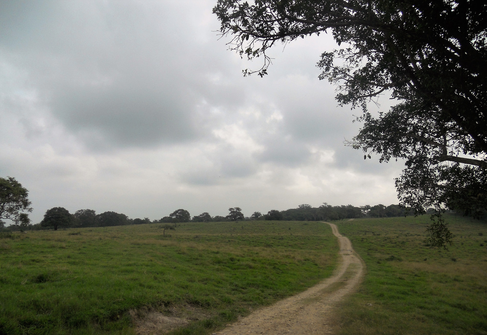 Nikon Coolpix S4000 sample photo. Outdoor path photography