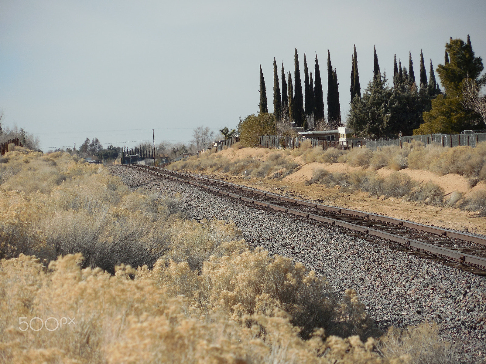 Nikon COOLPIX L620 sample photo. Hope - desert photography