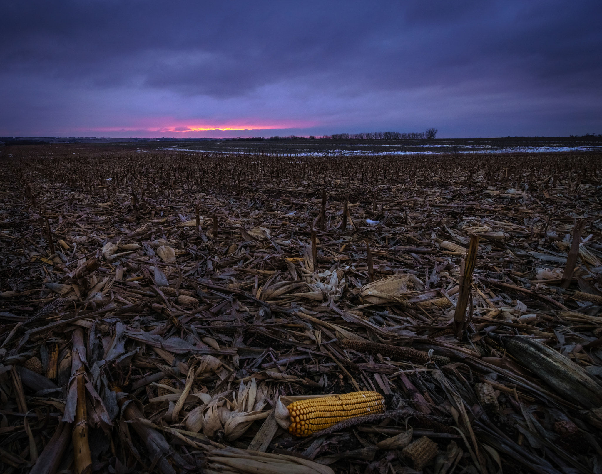 Canon EF-S 10-18mm F4.5–5.6 IS STM sample photo. The long winter photography