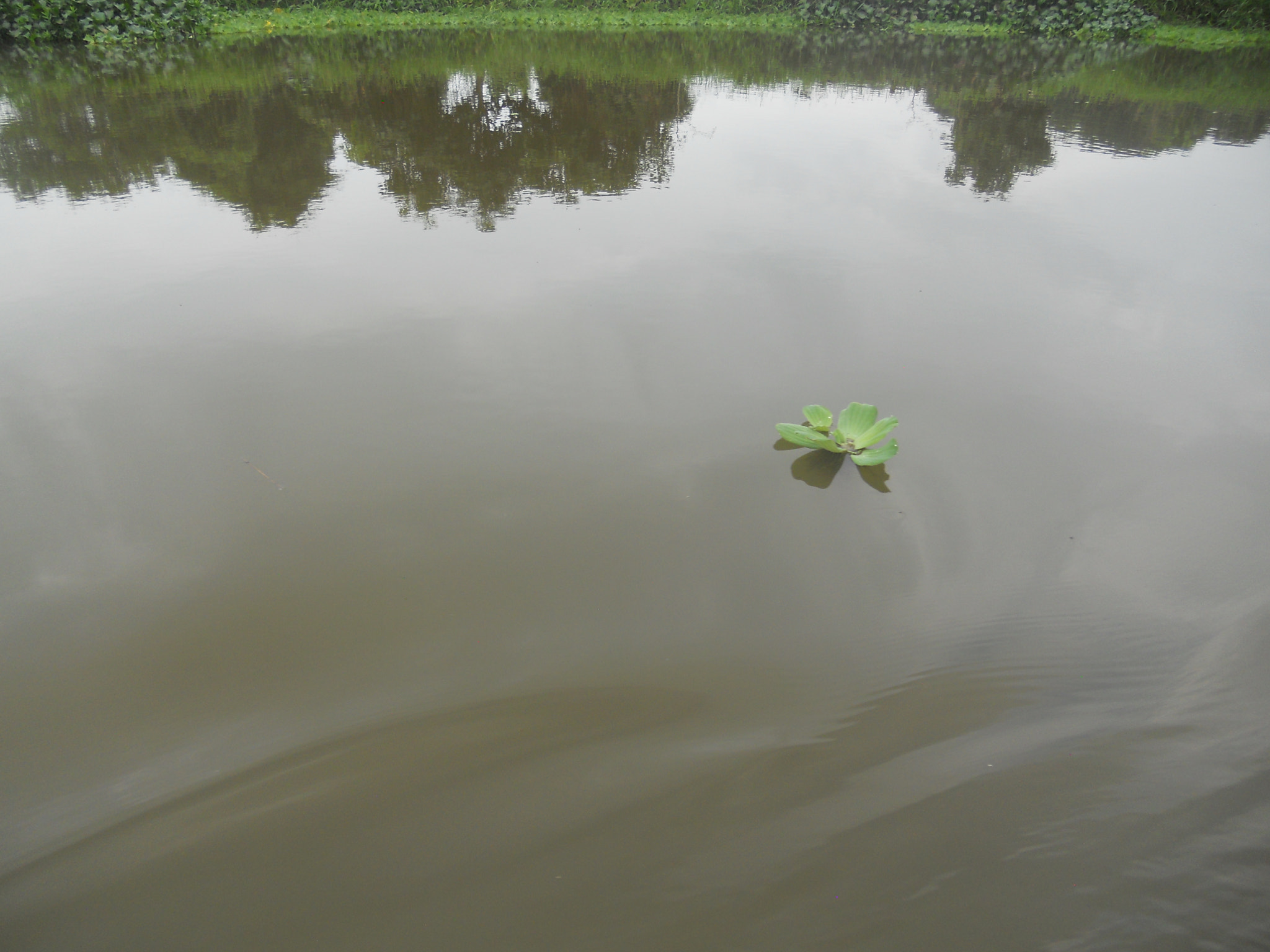 Nikon Coolpix S4000 sample photo. Sobre el agua photography