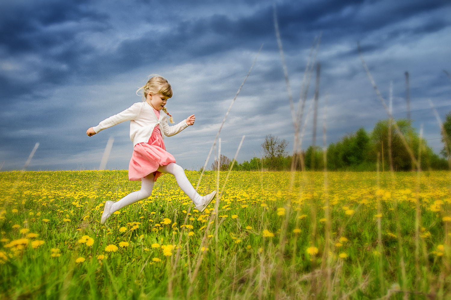 Sigma 18-35mm f/1.8 DC HSM sample photo. On the meadow photography