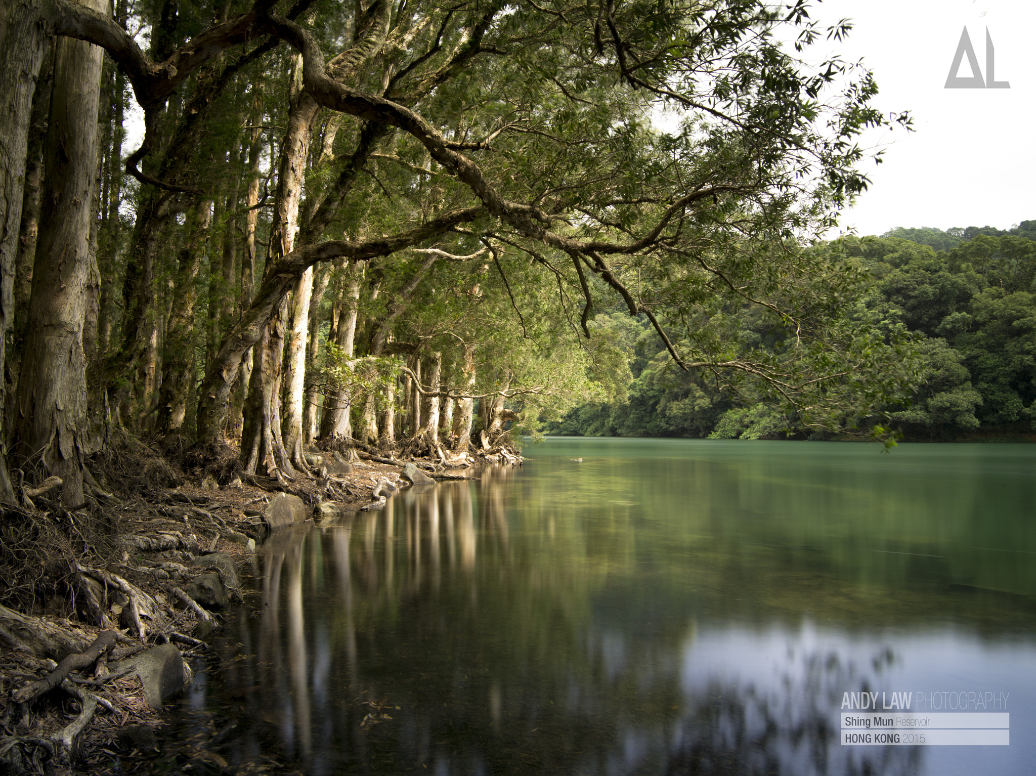 smc PENTAX-FA 645 33-55mm F4.5 AL sample photo. Shing mun reservoir, hong kong photography