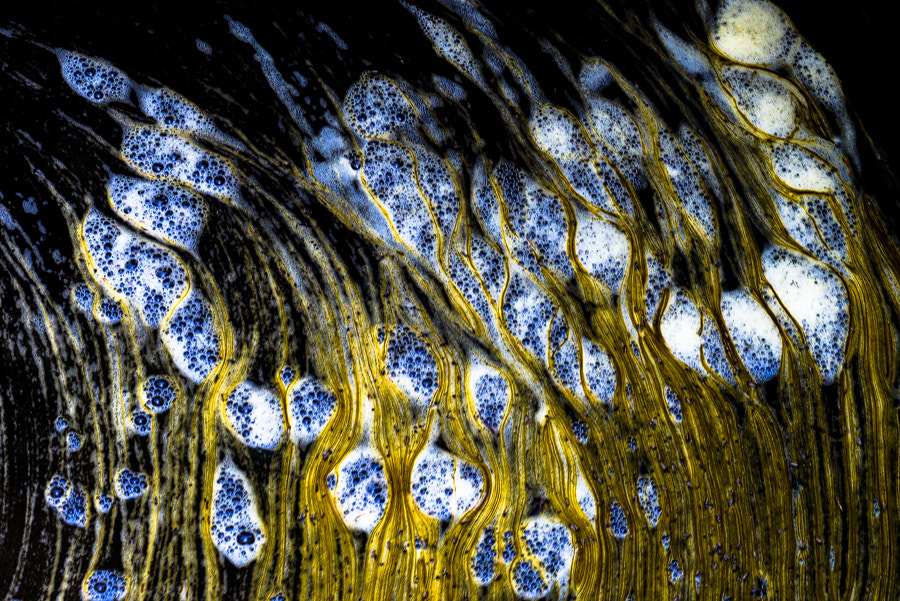 Sigma 150mm F2.8 EX DG Macro HSM sample photo. Flow photography