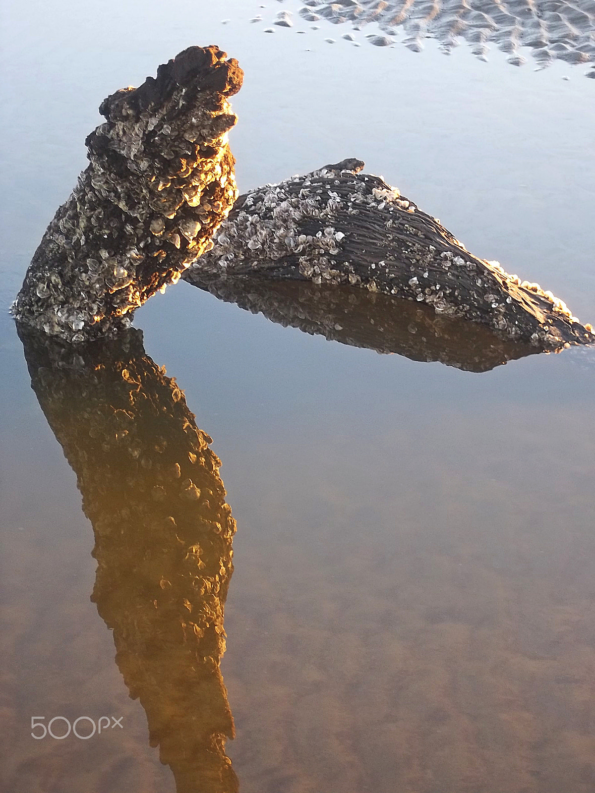 Kodak EASYSHARE M575 DIGITAL CAMERA sample photo. Two rocks reflection photography