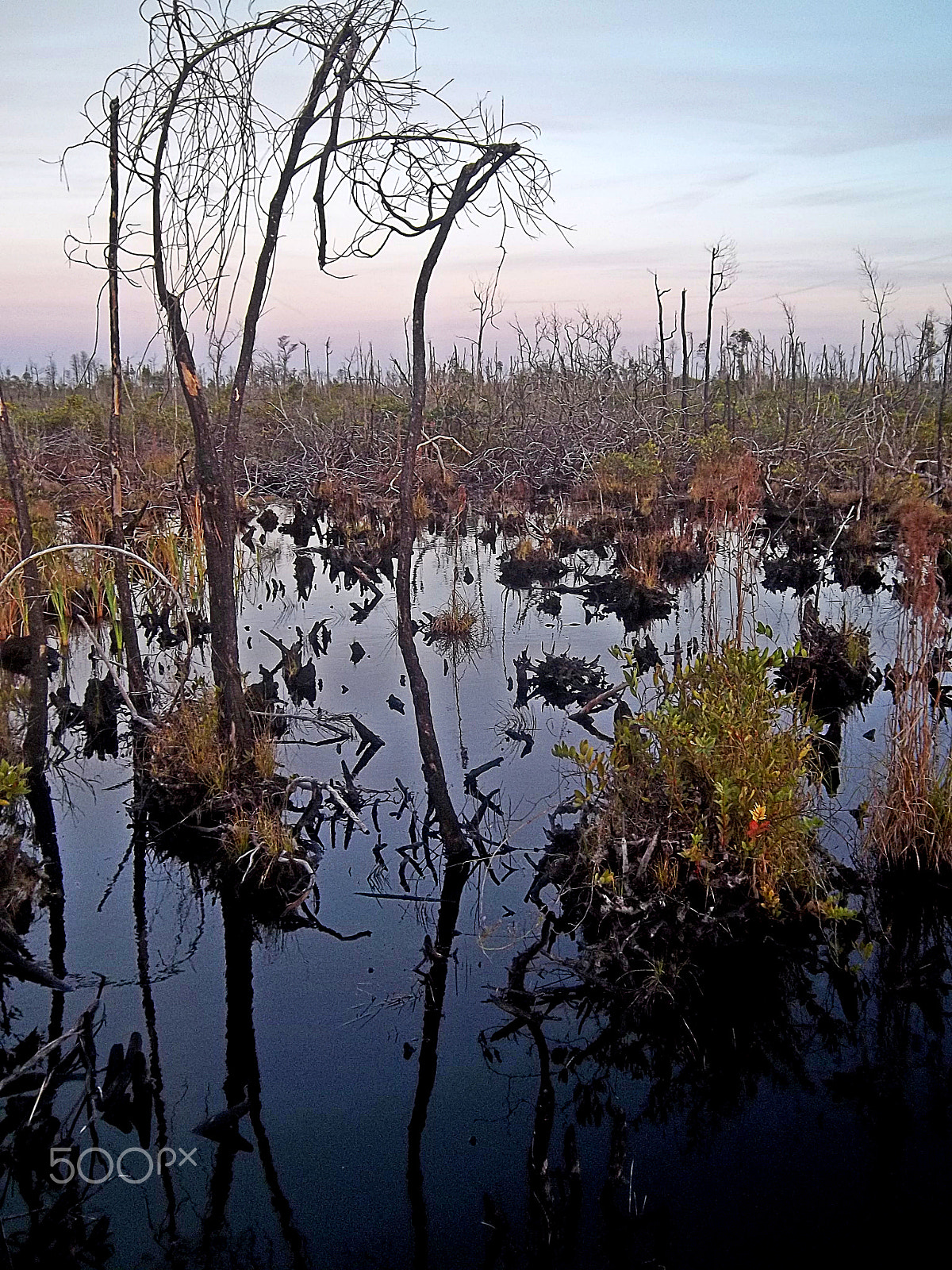 Kodak EASYSHARE M575 DIGITAL CAMERA sample photo. Sunrise at okefenokee swamp georgia photography