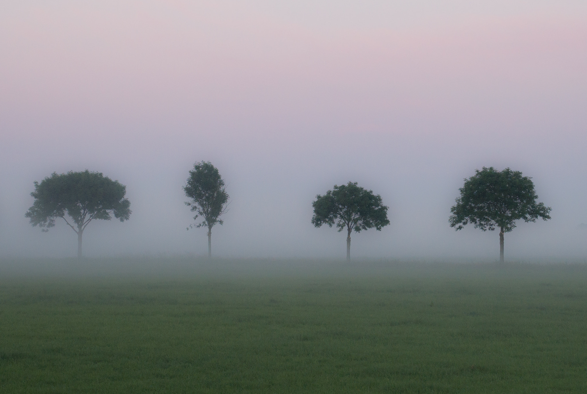 Tamron 16-300mm F3.5-6.3 Di II VC PZD Macro sample photo. Those fine foggy mornings... photography