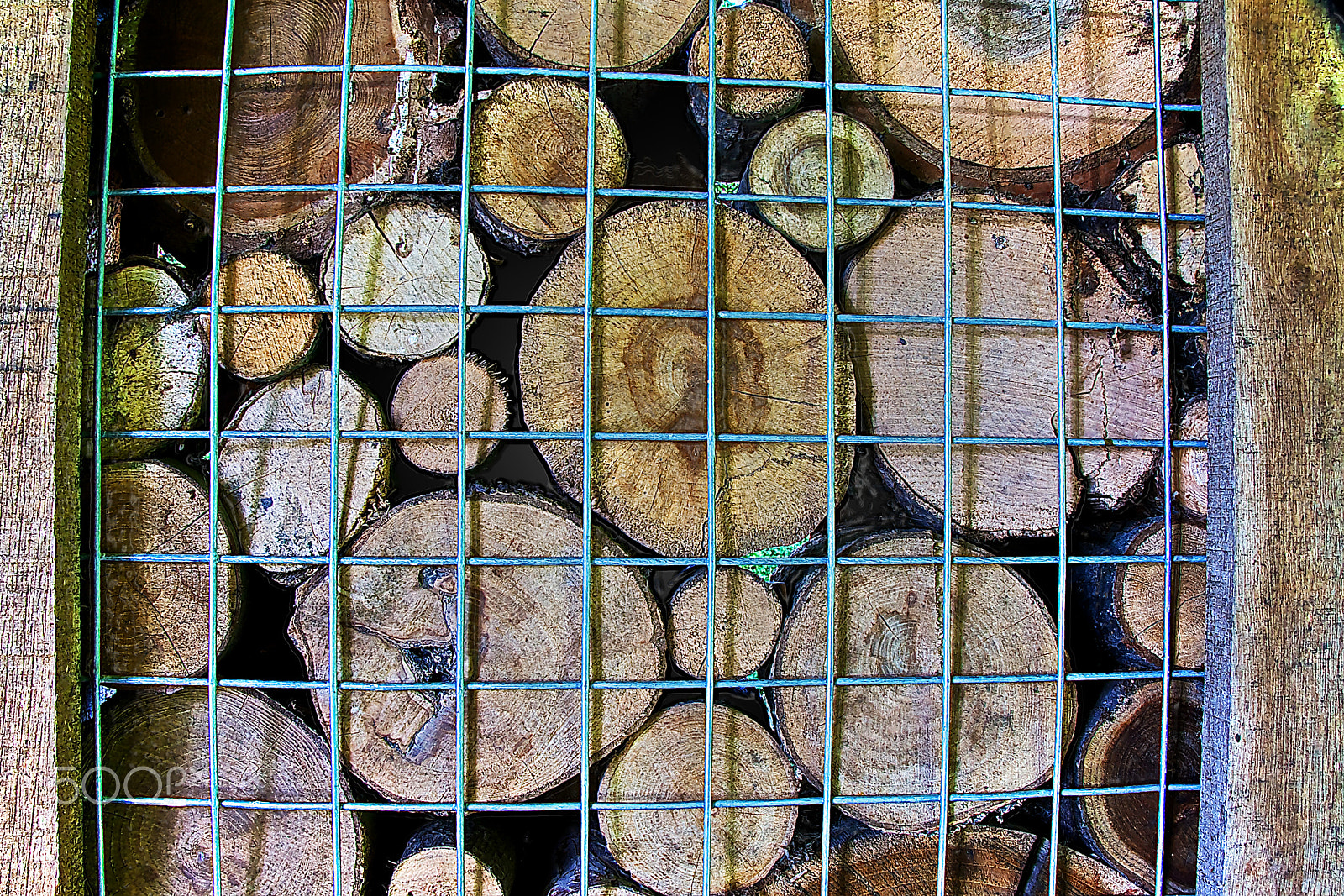 Sony DT 18-250mm F3.5-6.3 sample photo. Ab156 eco log wall photography