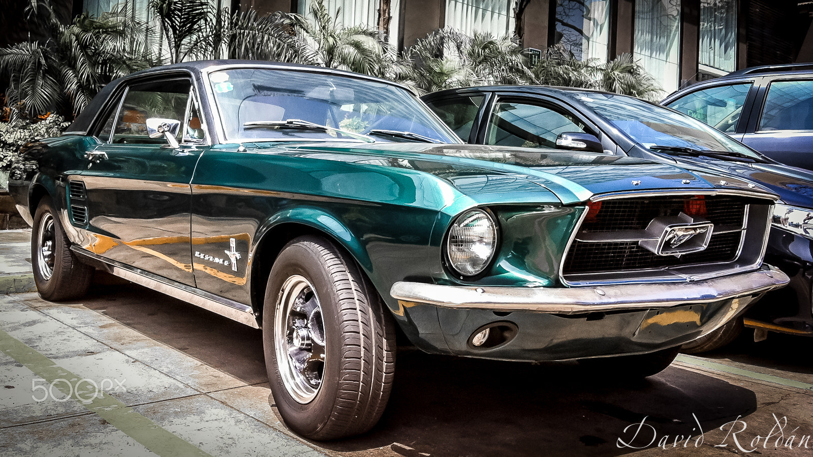 Jag.gr 645 PRO for iPhone sample photo. Green mustang photography