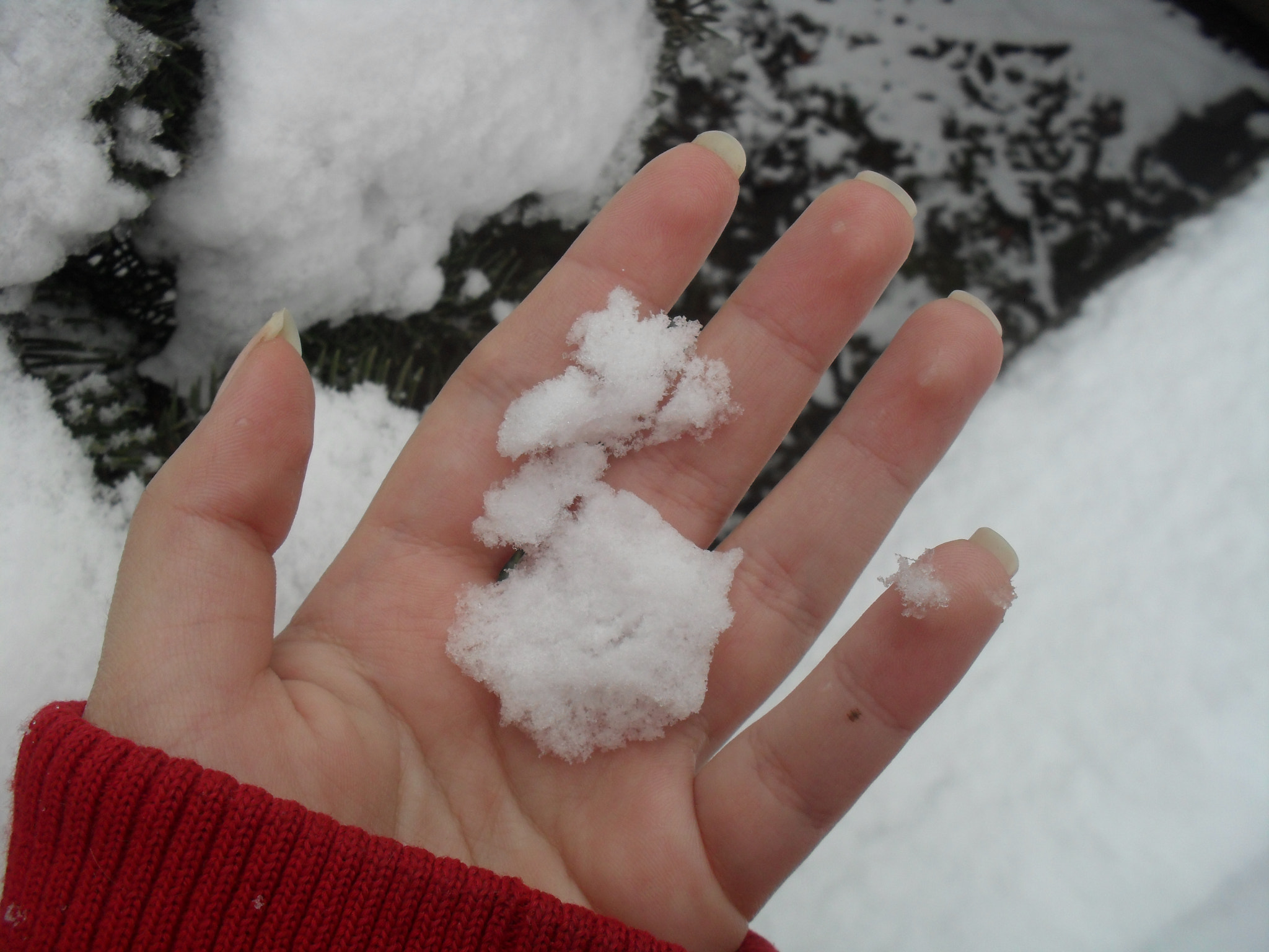 Samsung ES60 / VLUU ES60 /  SL105 /  ES63 sample photo. It's cold outside photography