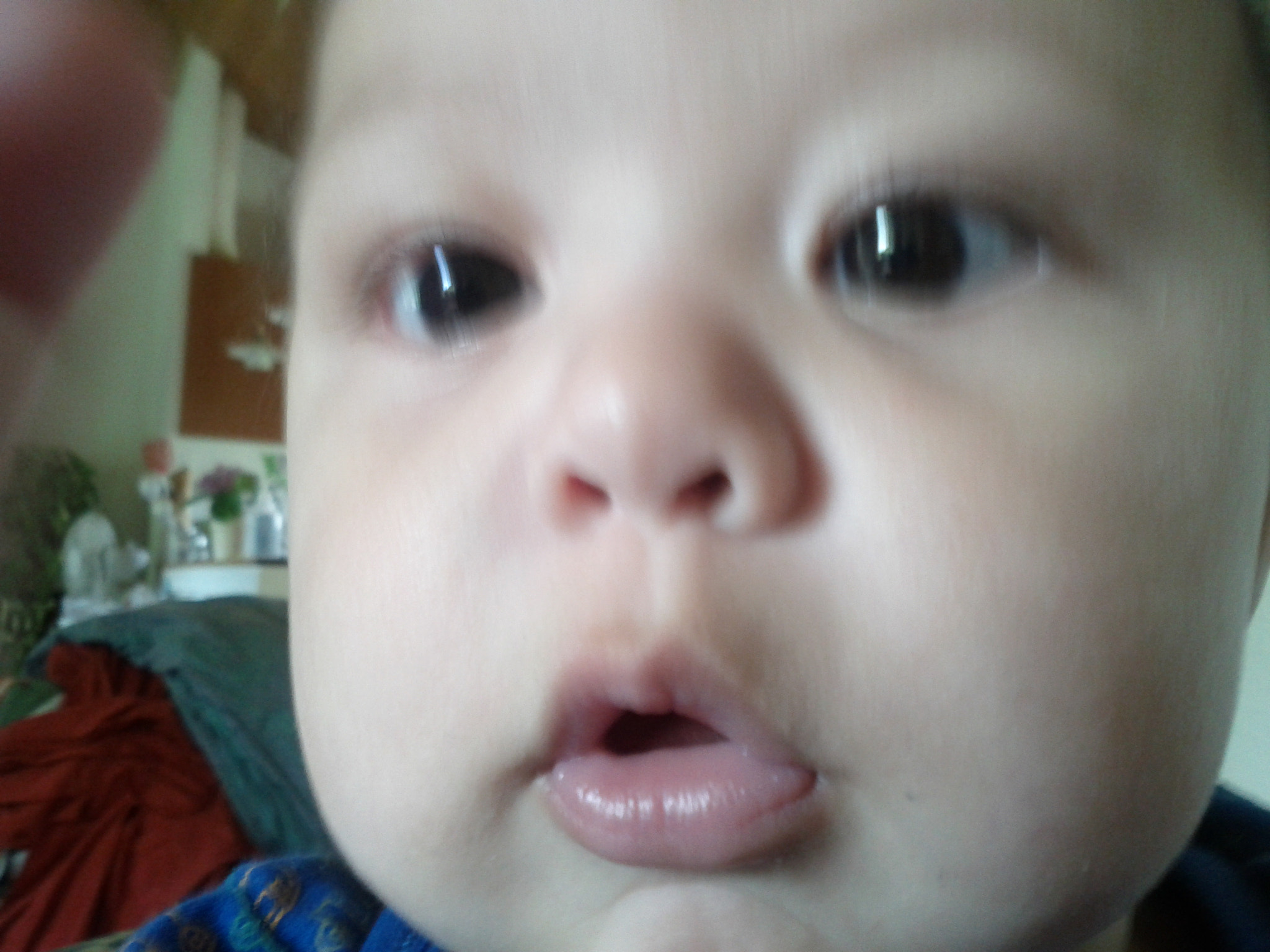 Google Nexus S sample photo. 2011-06-12 09.30.20.jpg photography