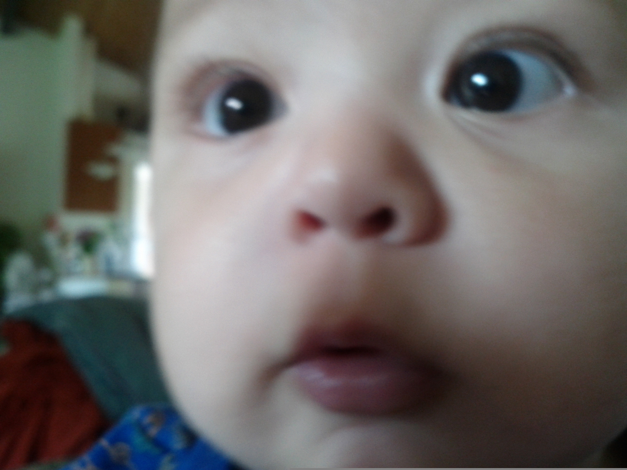 Google Nexus S sample photo. 2011-06-12 09.30.26.jpg photography